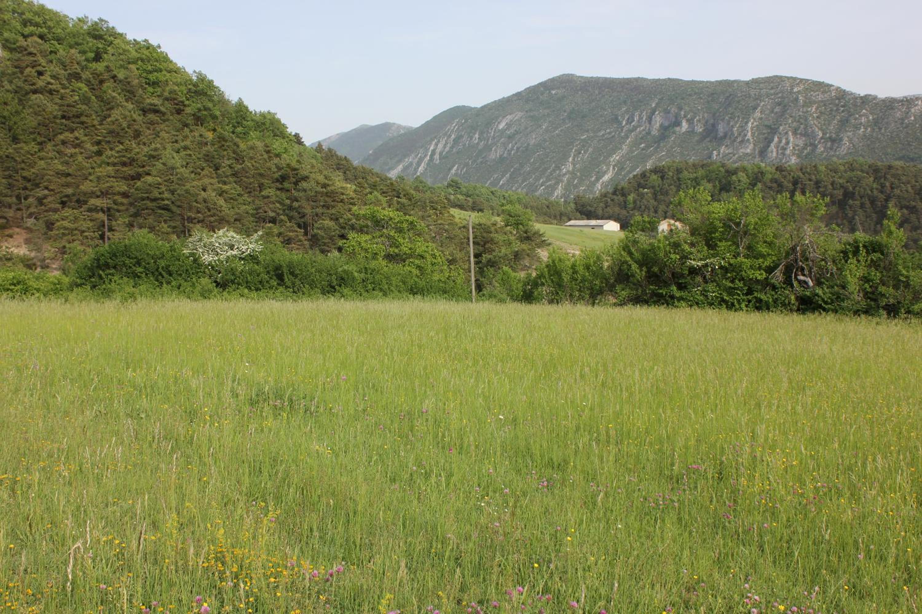 Photo 26