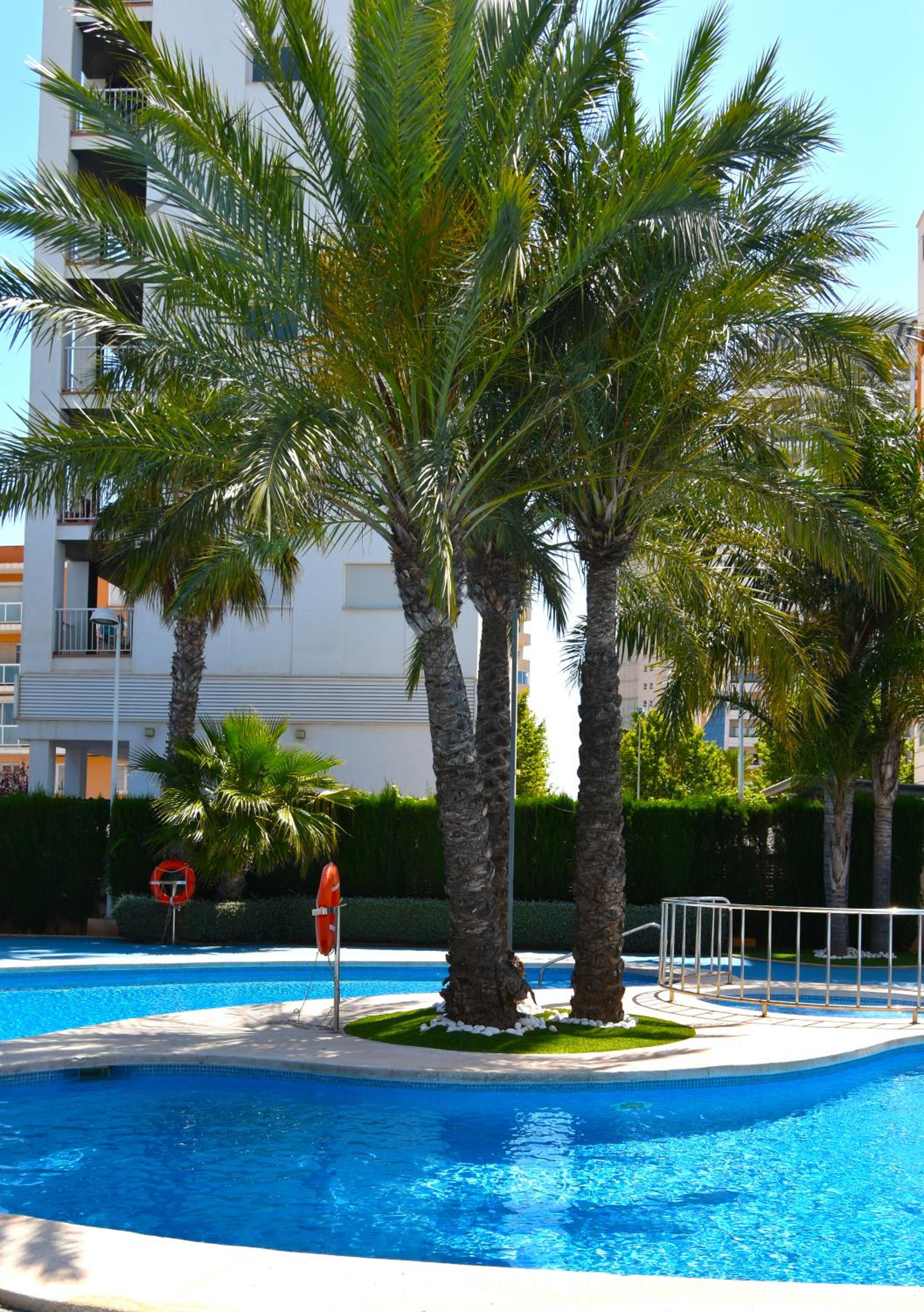 Apartamento Larimar 2 habitaciones , Piscina , Parking y vistas a la laguna