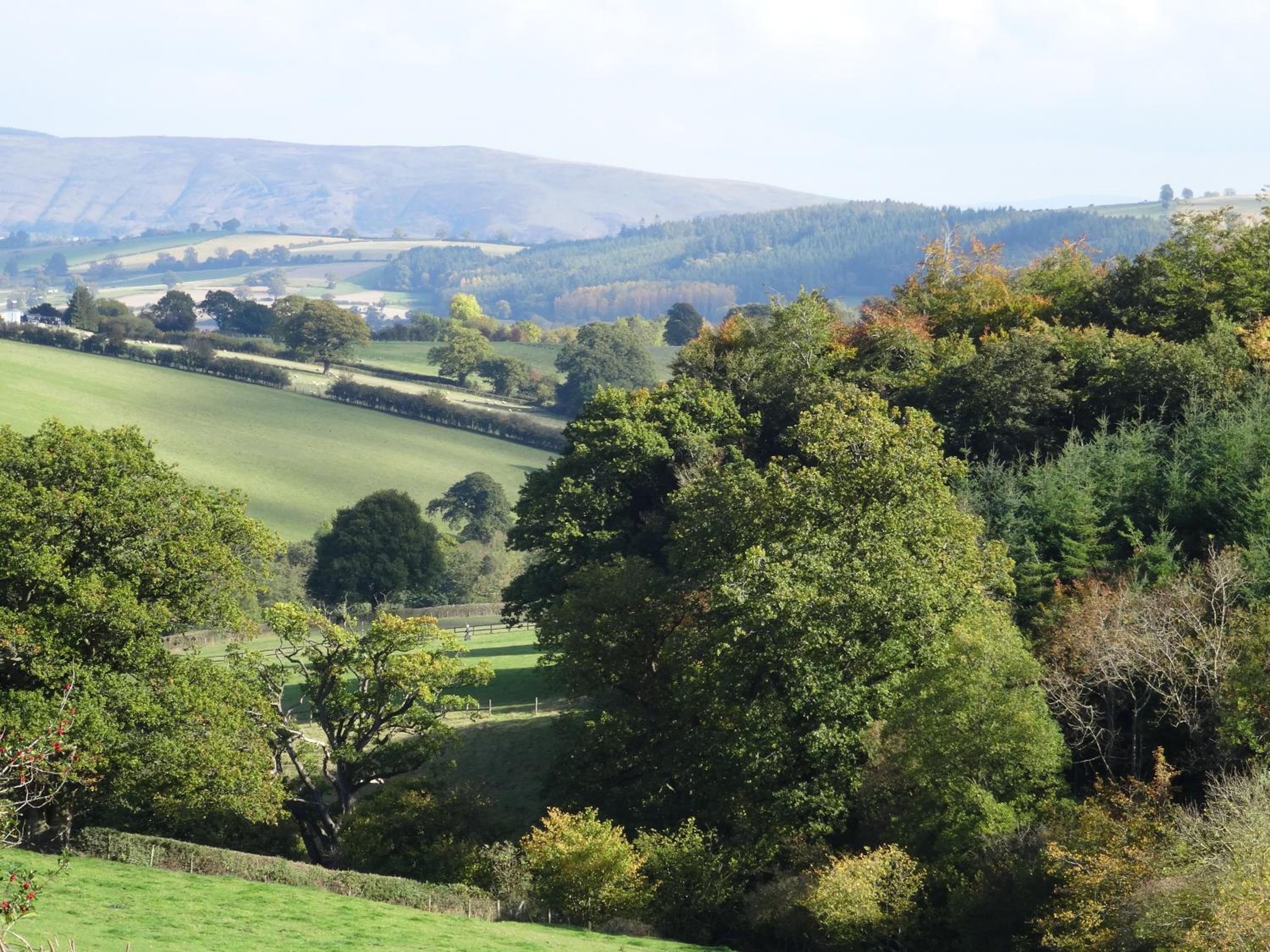 Middle Woodbatch B&B