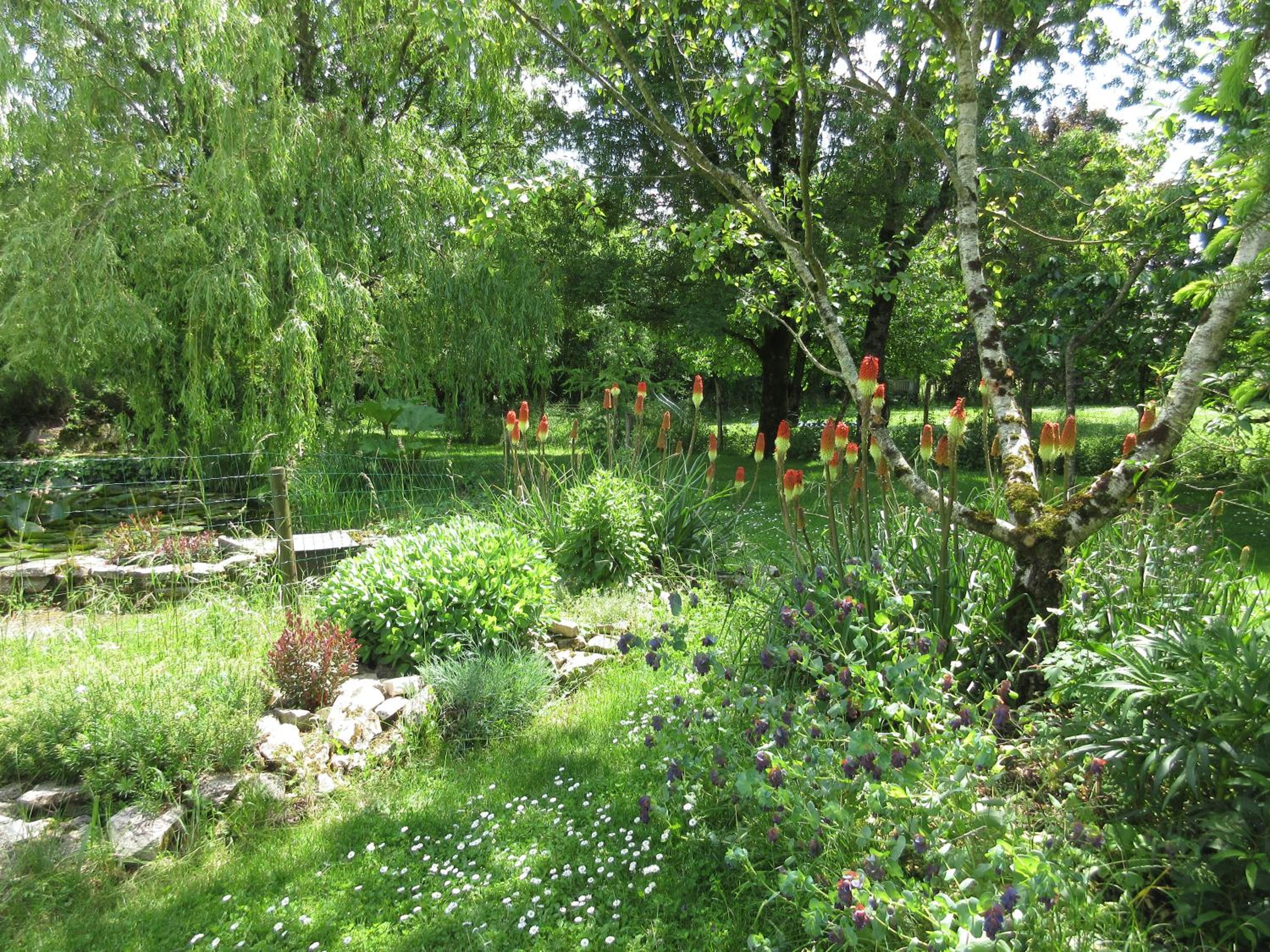 Photo 12