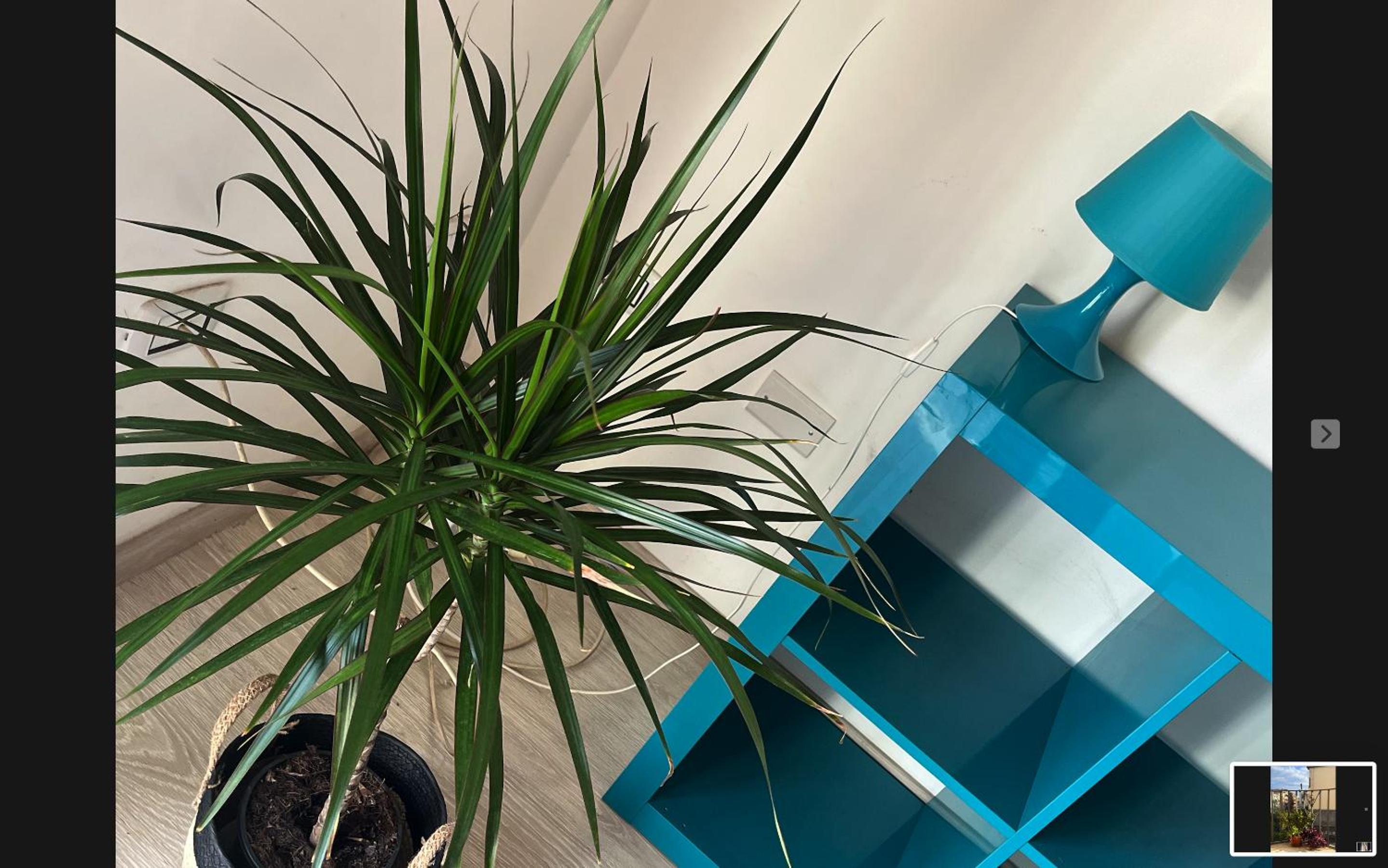 Deodato guesthouse