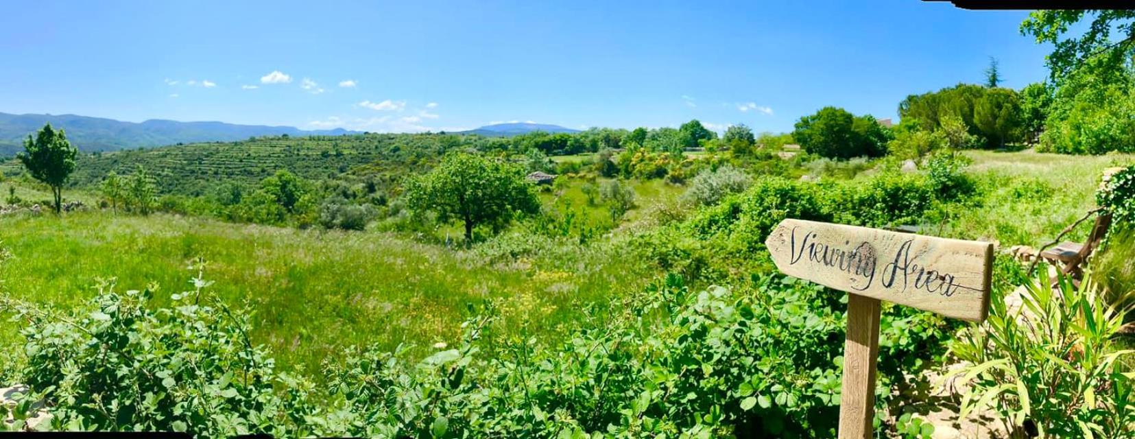 Wild Boar Mountain, Luxury Escape & Stunning Views!, photo 7