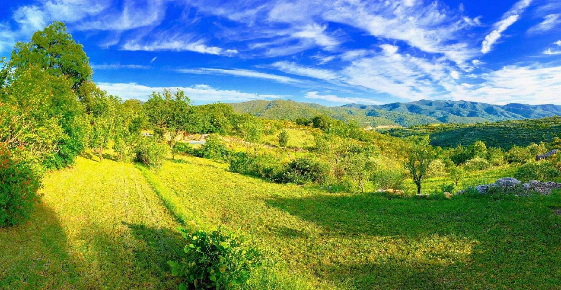 Wild Boar Mountain, Luxury Escape & Stunning Views!, photo 62
