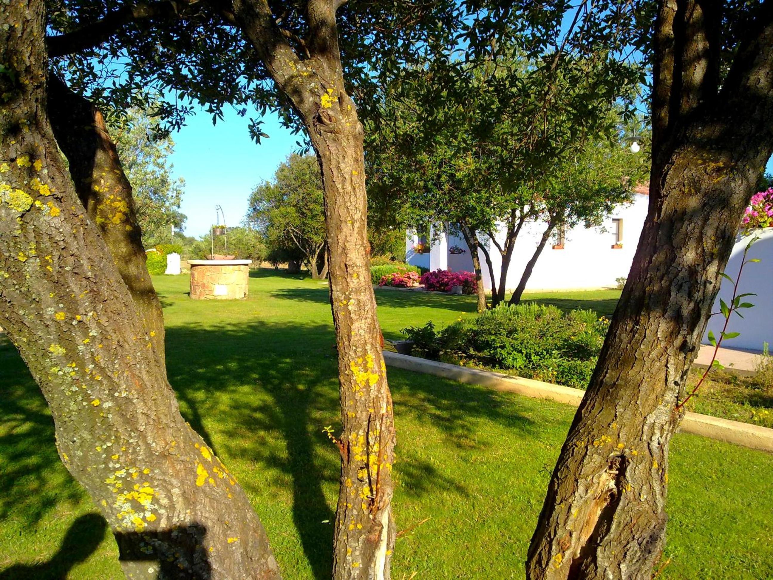 Agriturismo Li Scopi