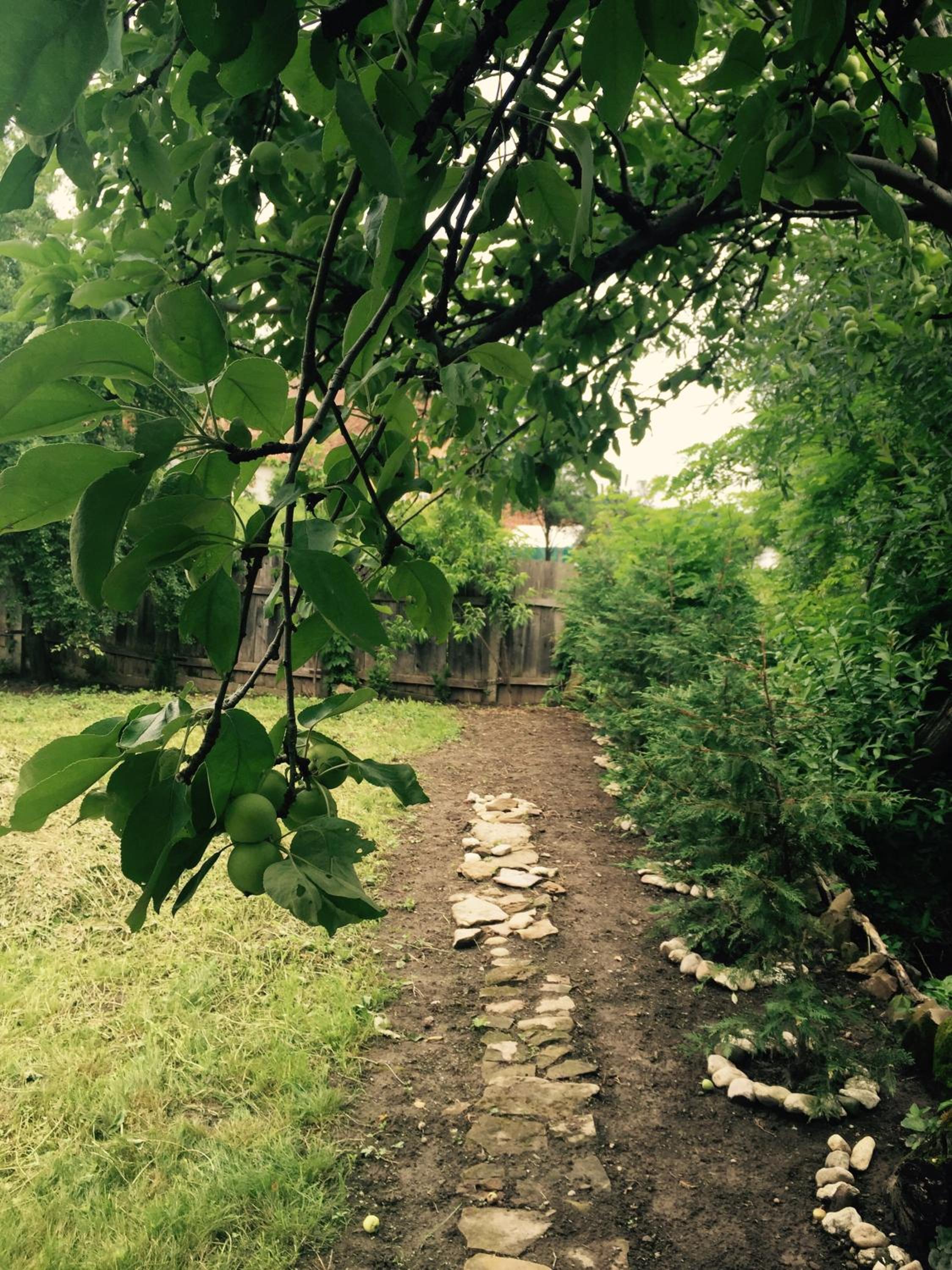 Photo 37