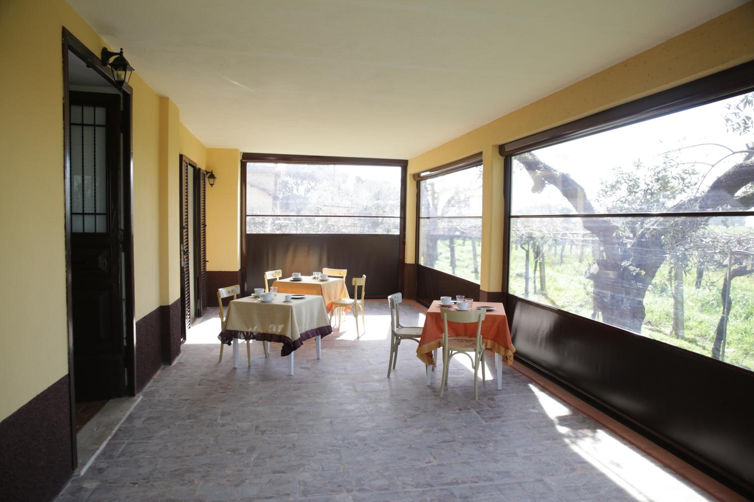 Grappoli di Sole