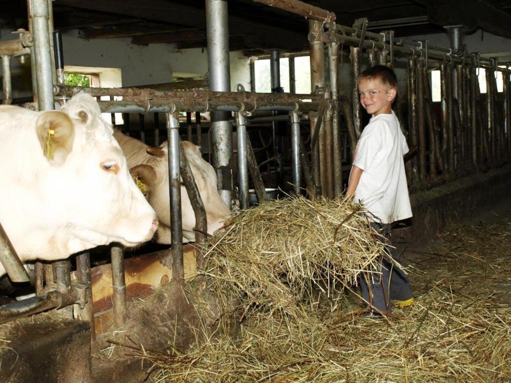 Ferienwohnung am Oberrainerhof