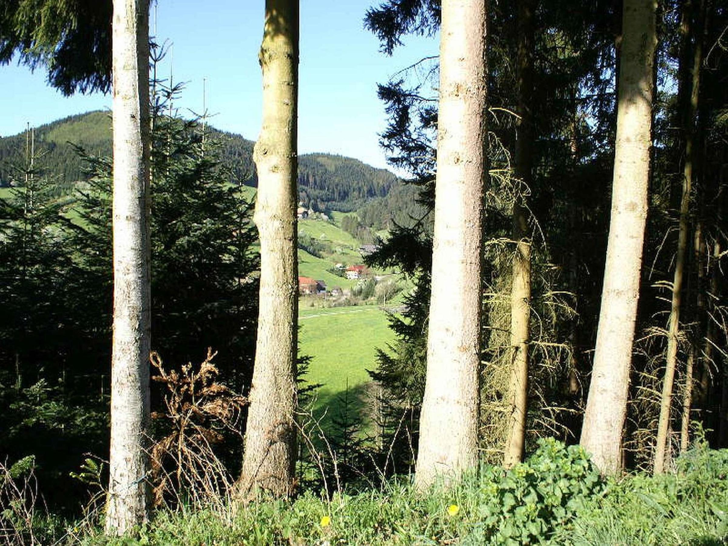 Unterer Gurethshof view 4