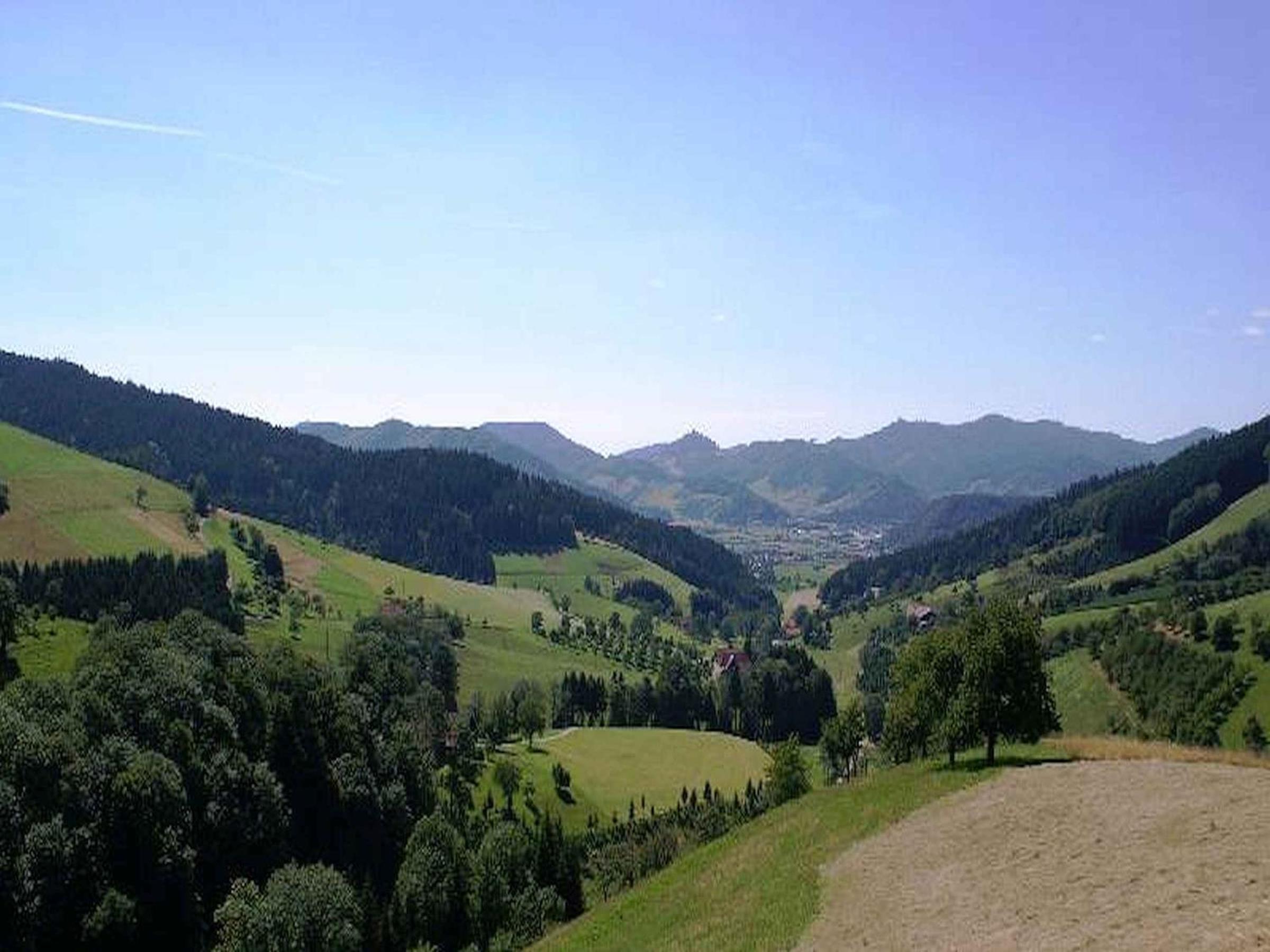 Photo 6