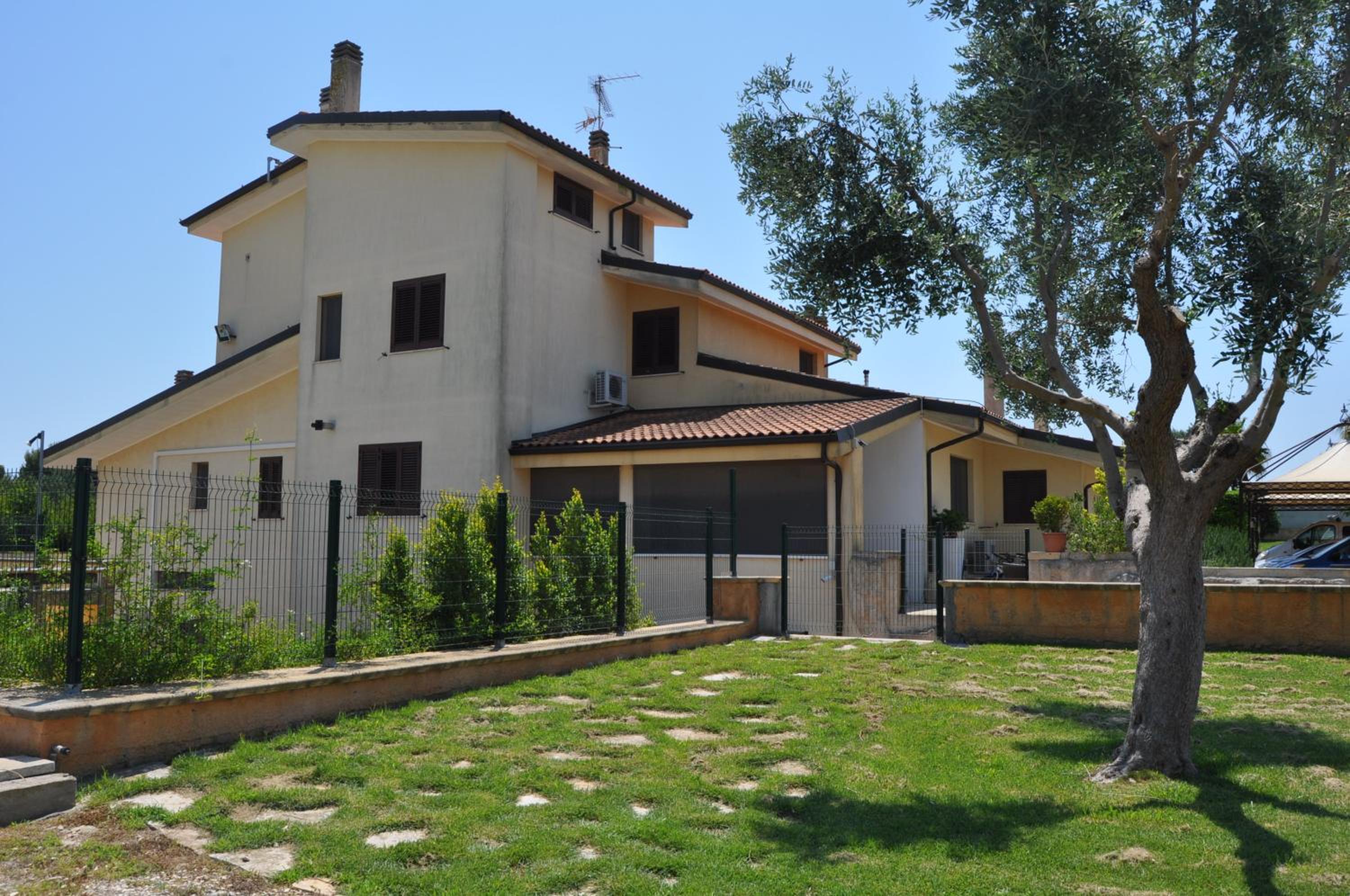 Photo 11