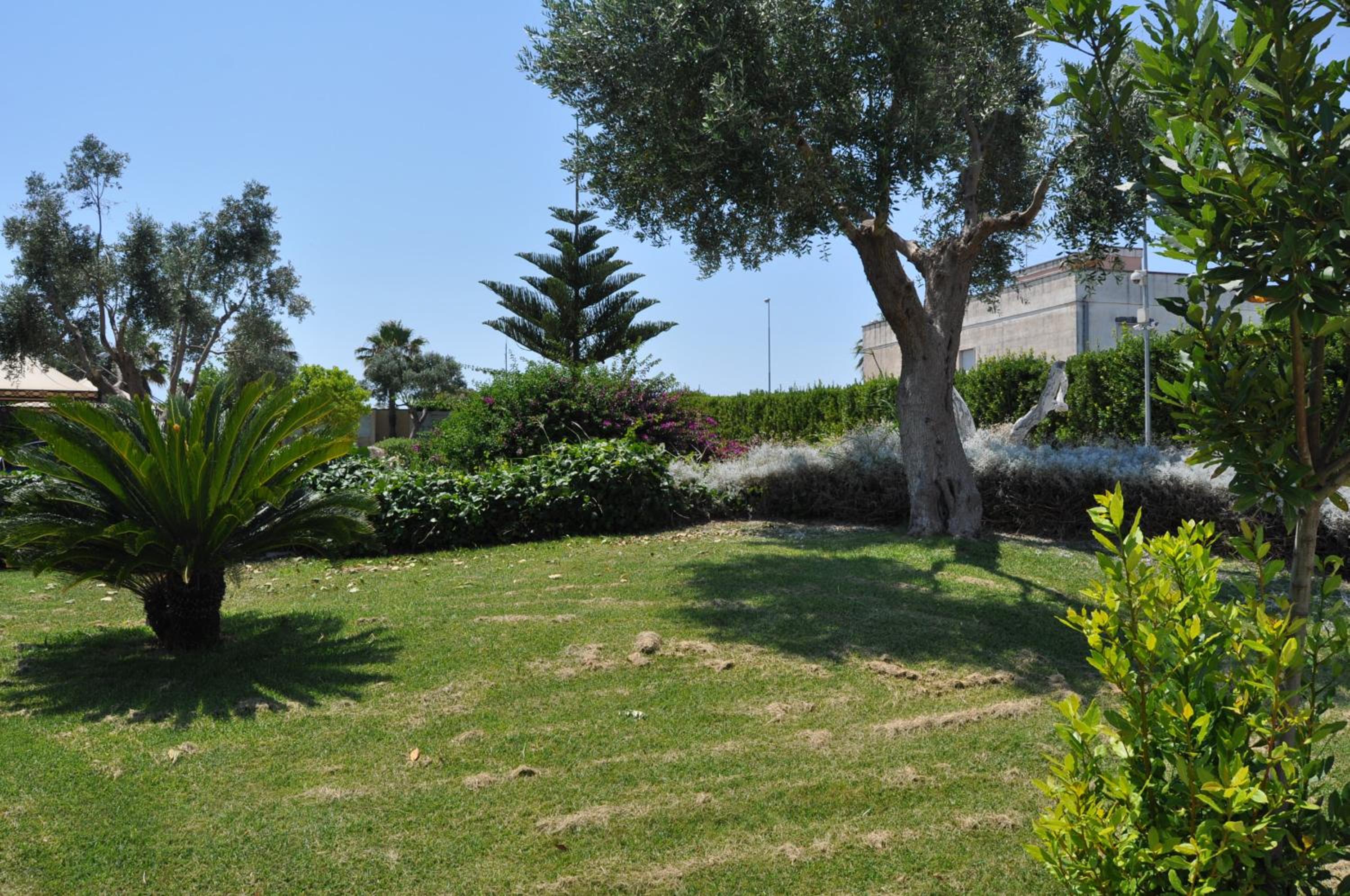 Photo 43