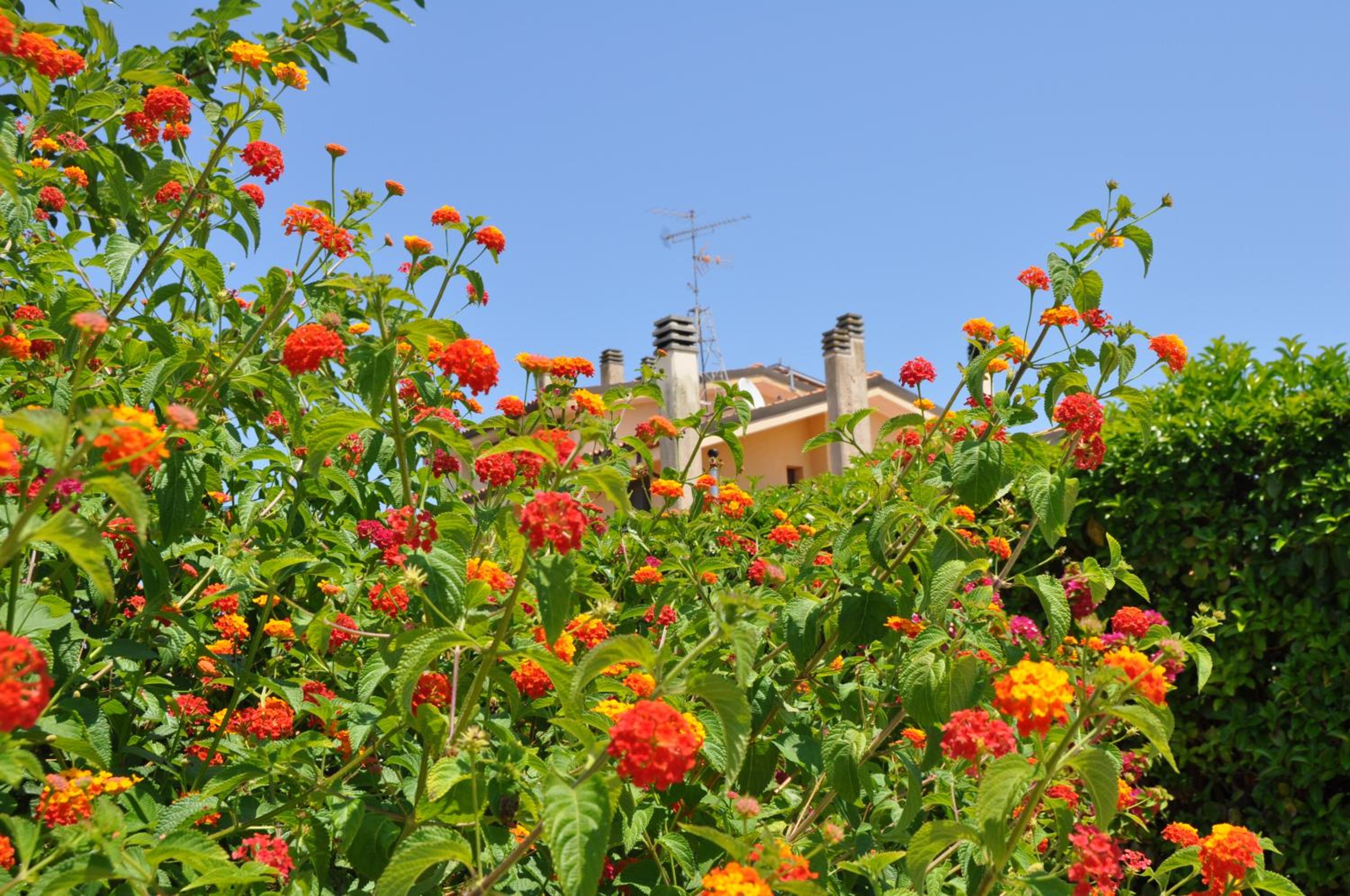 Giardini di Marzo Lecce B&B
