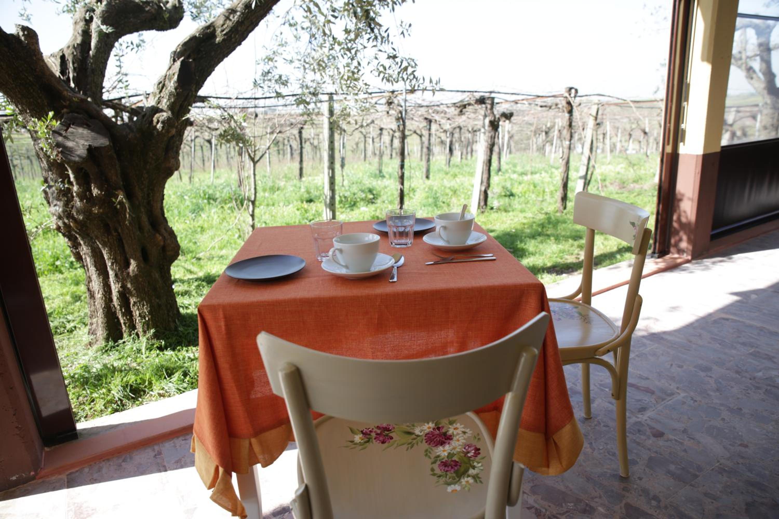 Grappoli di Sole