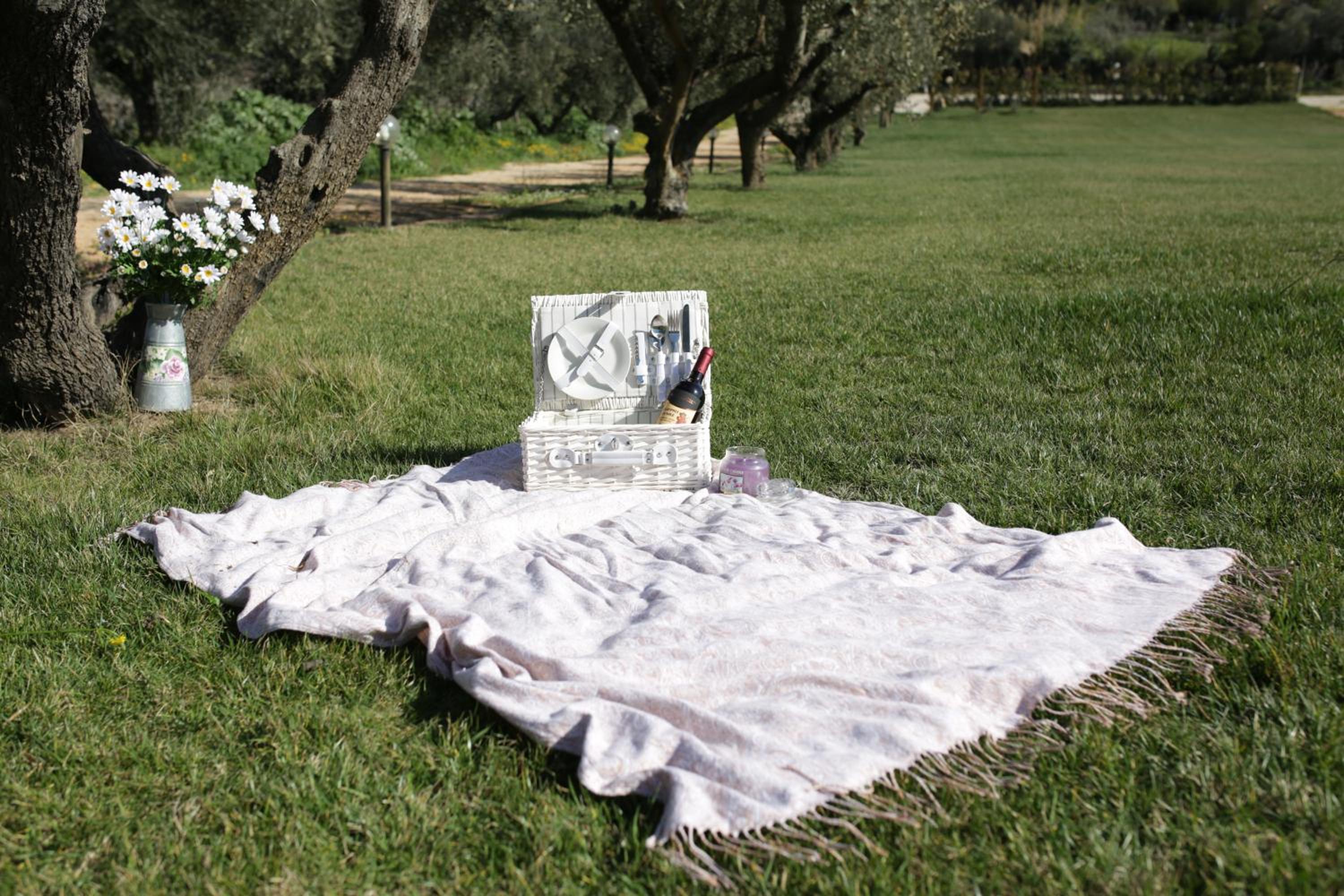 Grappoli di Sole
