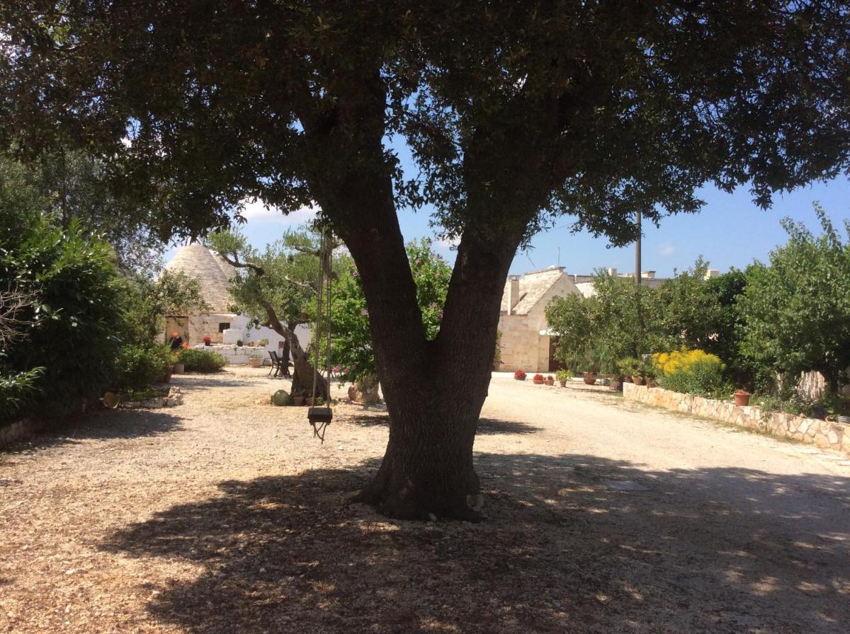 Photo 62