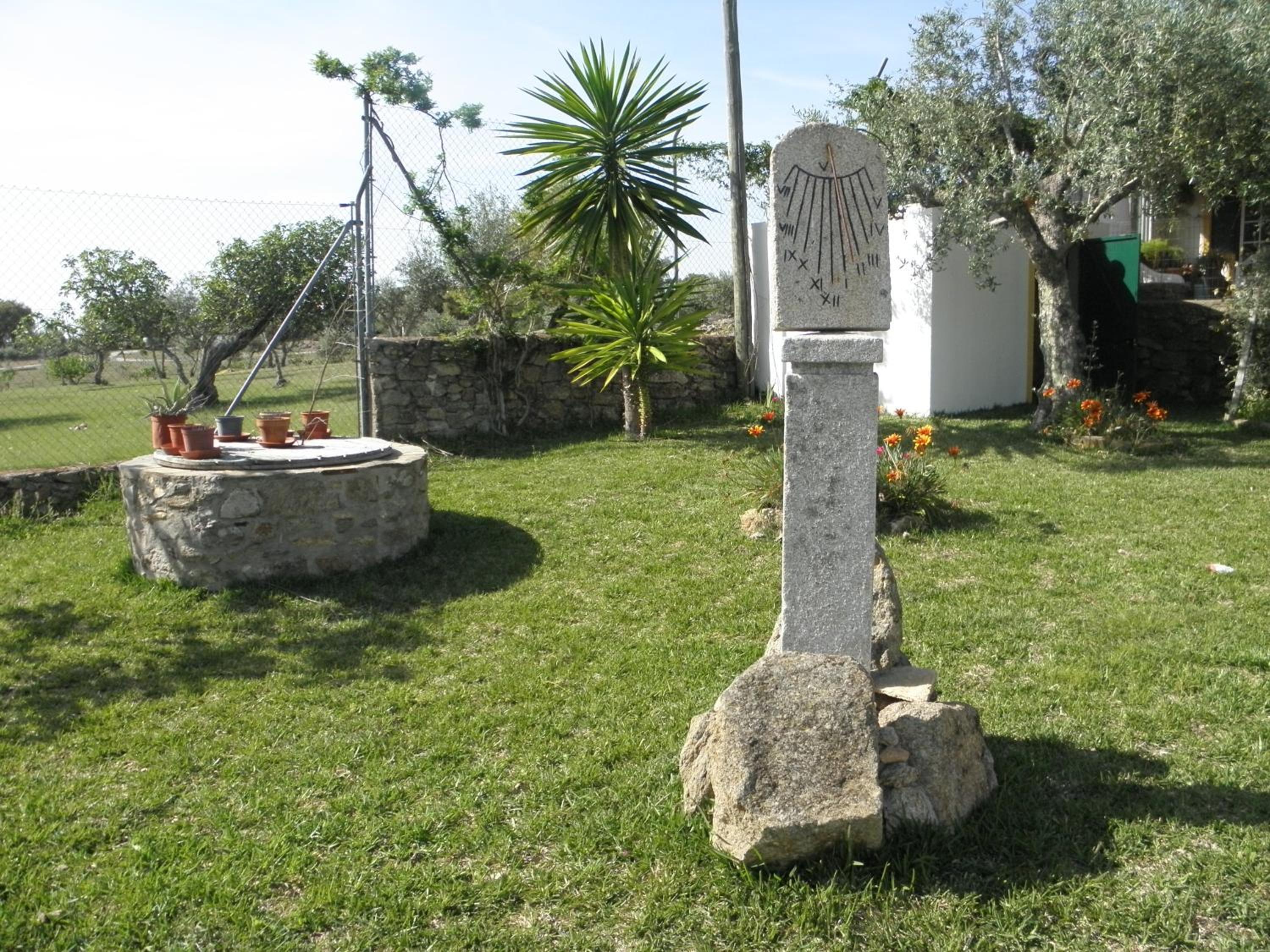 Photo 29