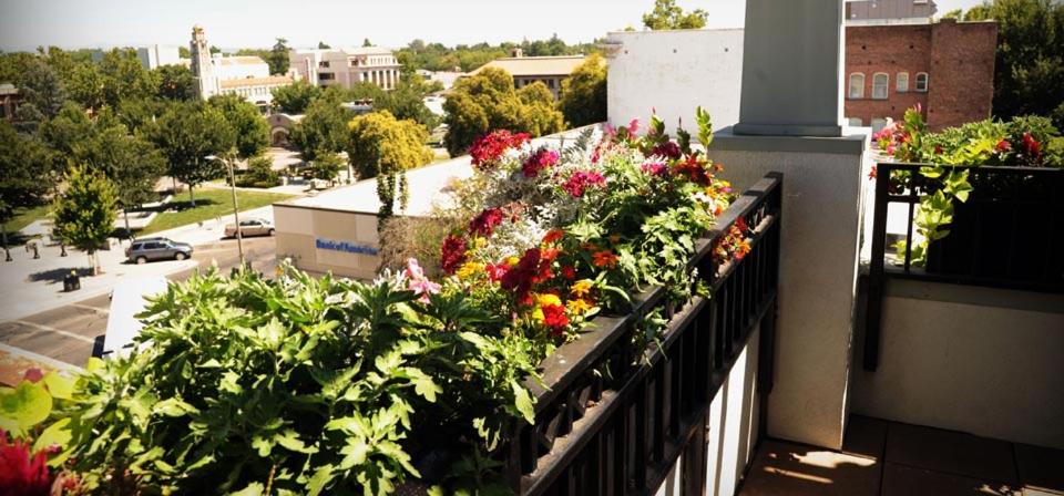 Chico Vacations - Hotel Diamond - Property Image 8