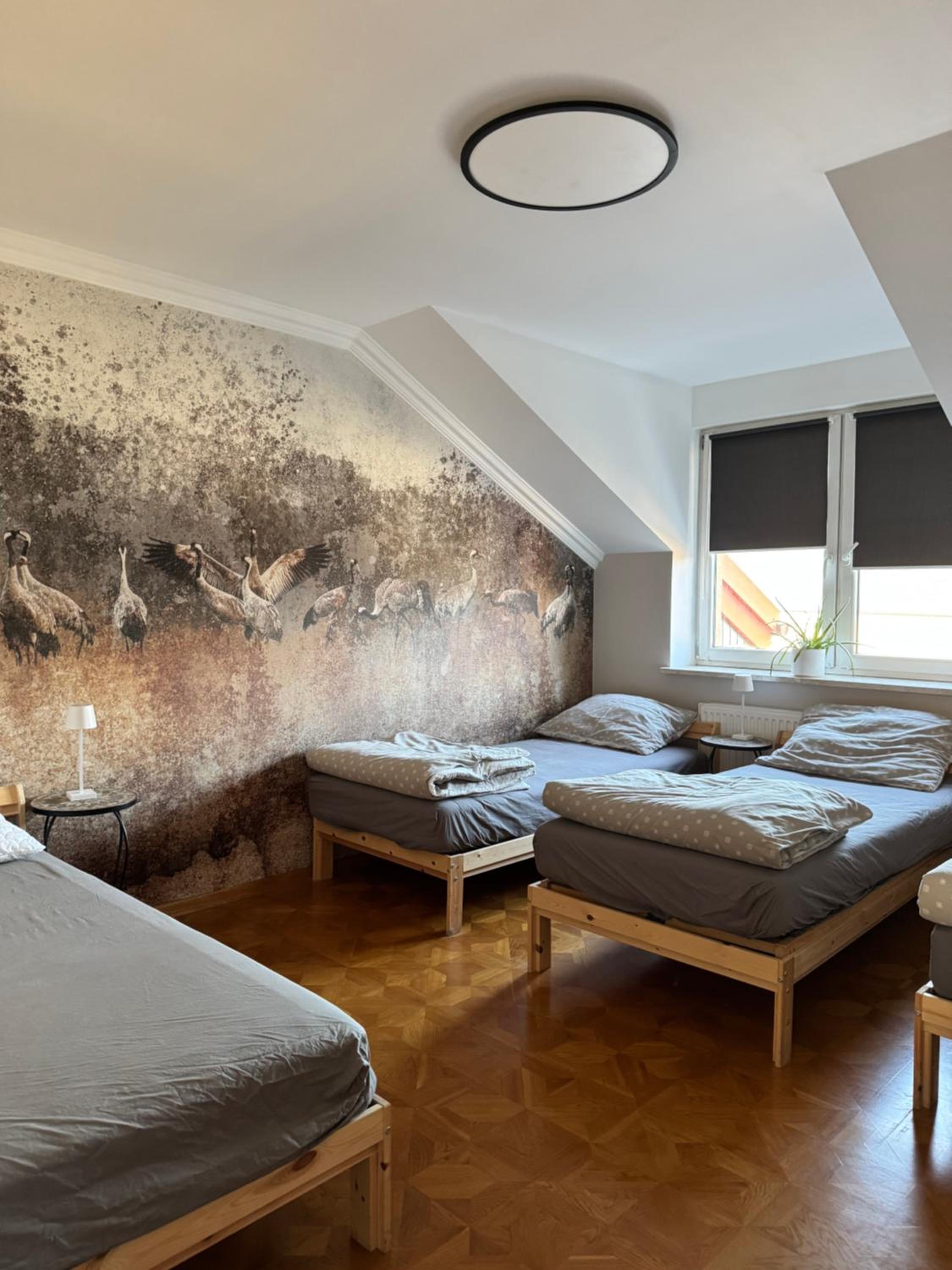 Apartament Batorego, photo 2