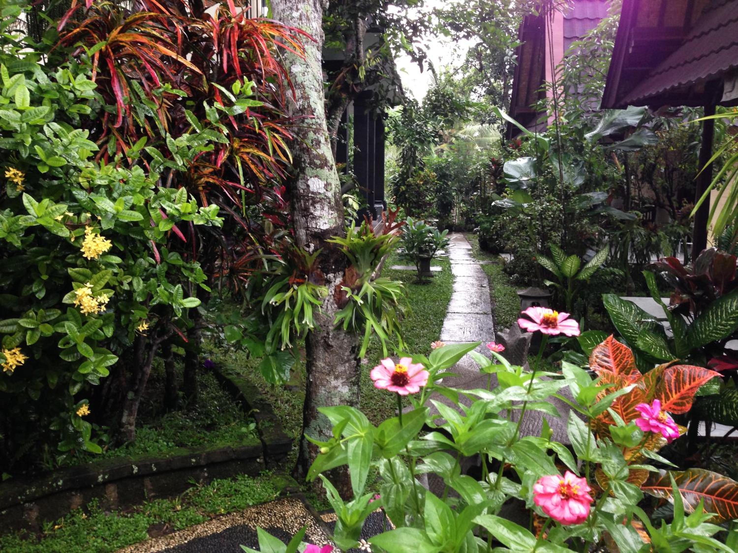 Pondok Bambu Homestay - Image 4