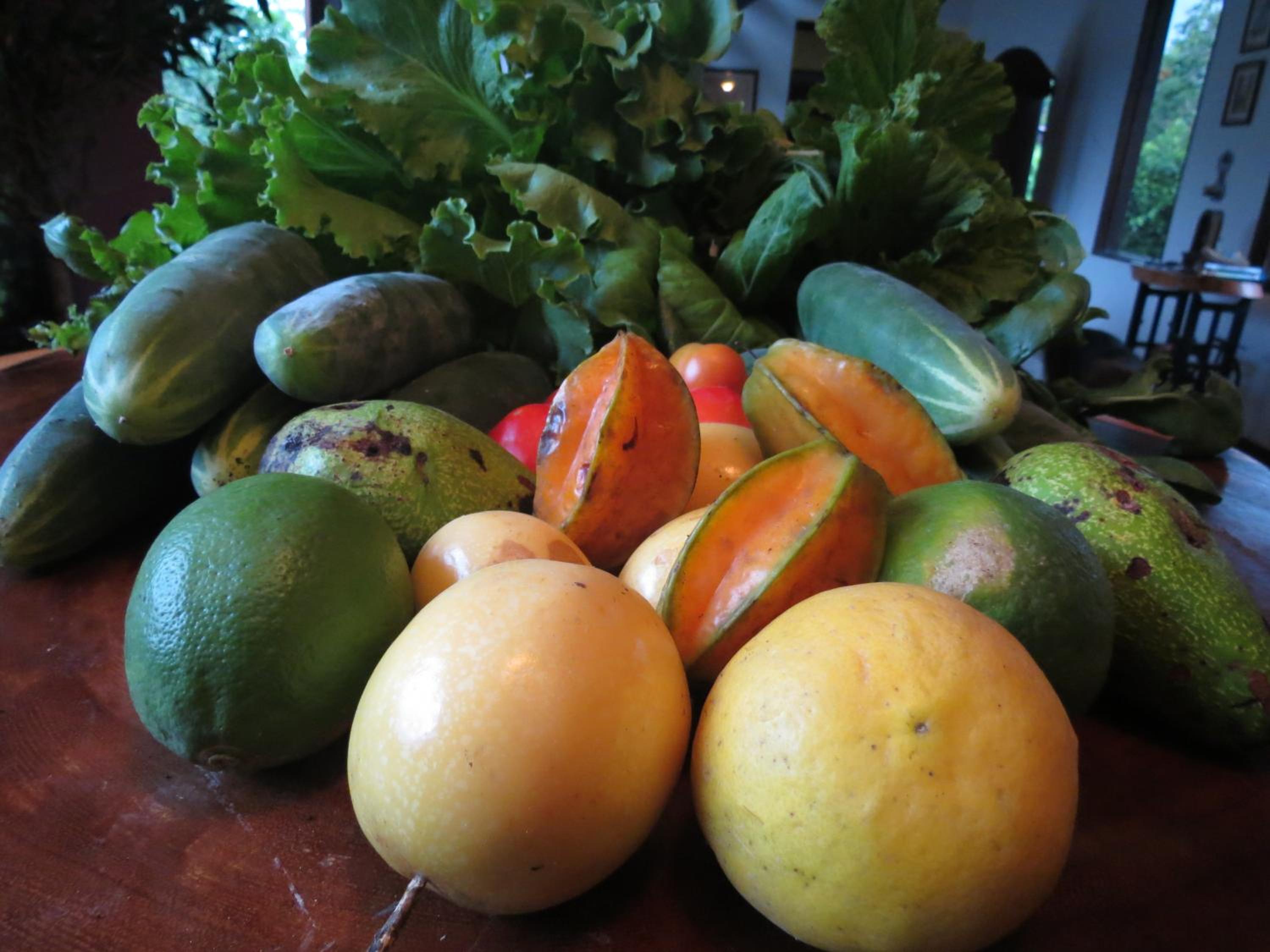 Vocaré Finca Agroecológica