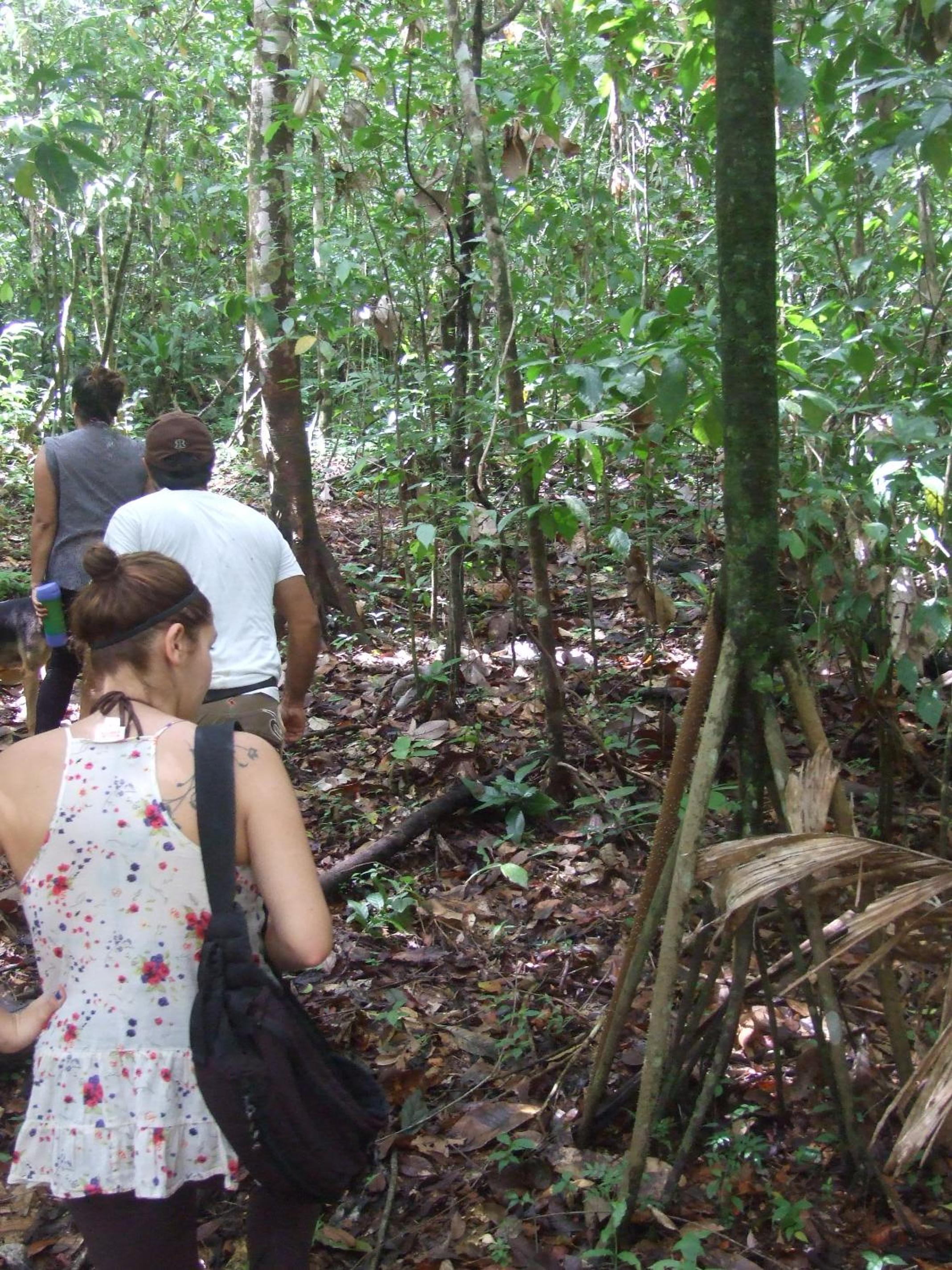 Vocaré Finca Agroecológica