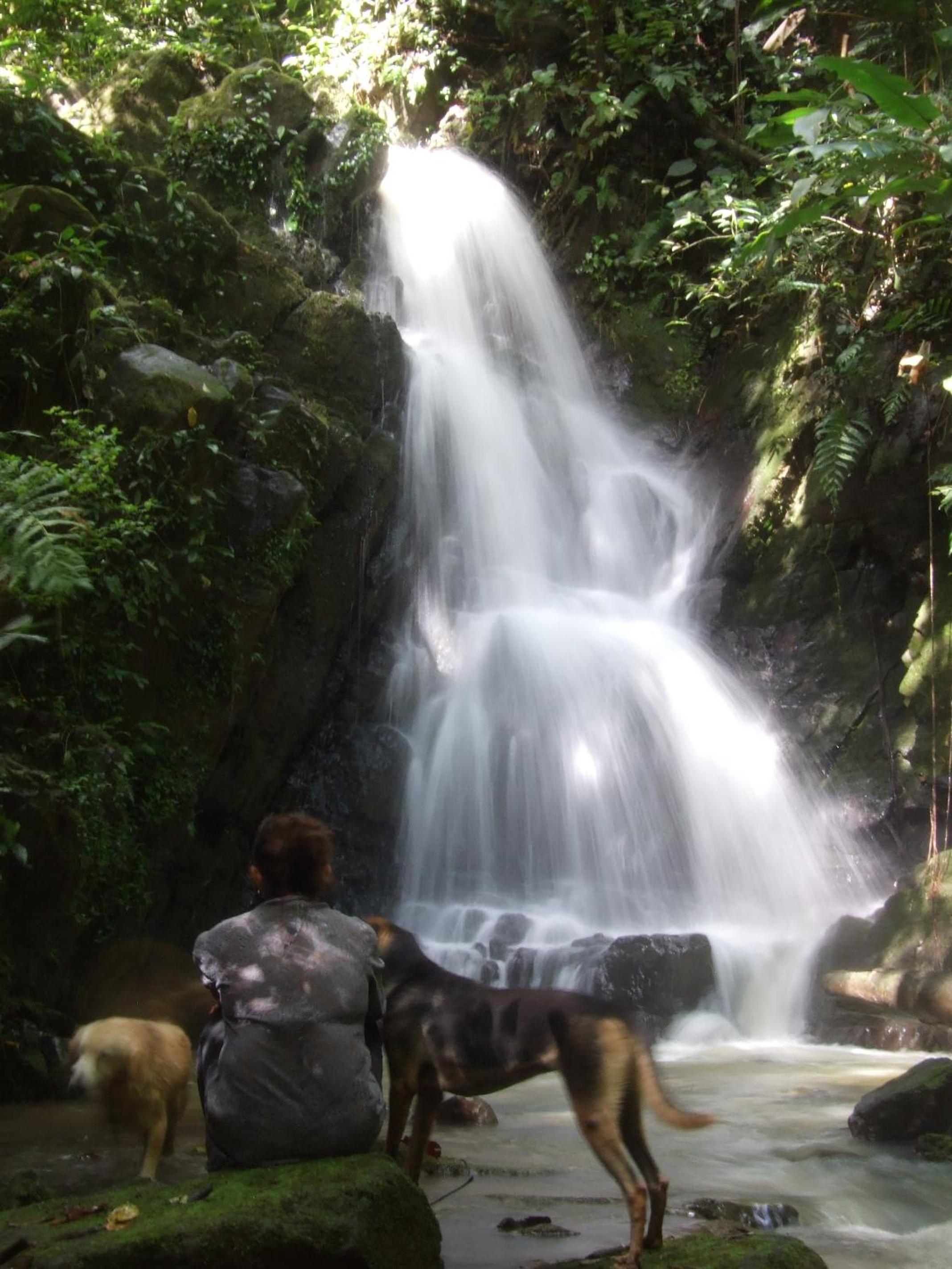 Vocaré Finca Agroecológica