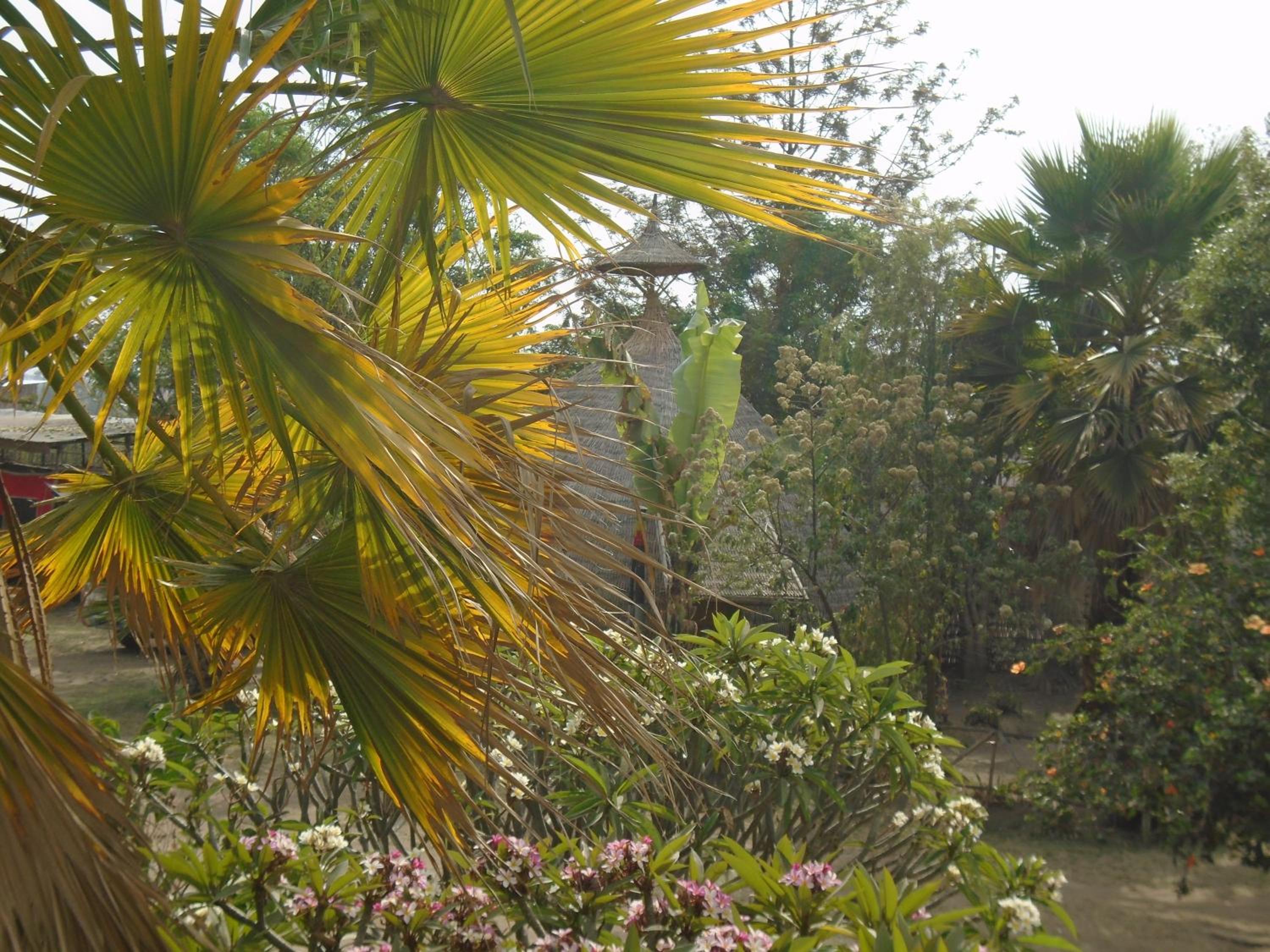 Photo 20