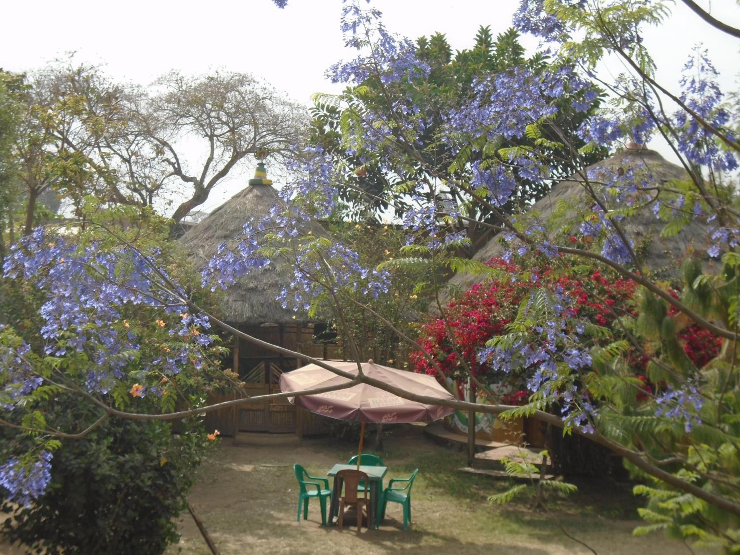Photo 21