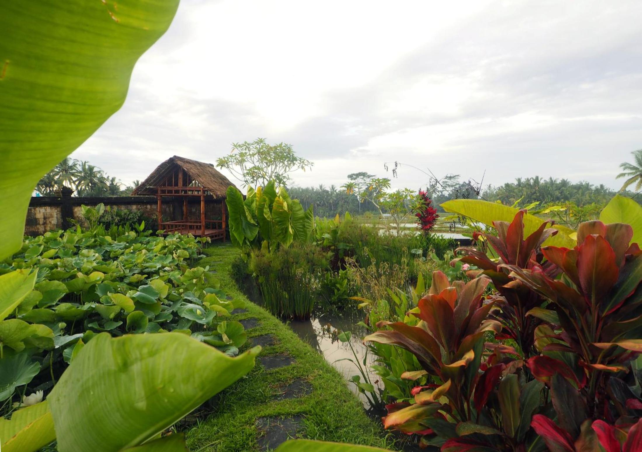 Villa Rumah Lotus