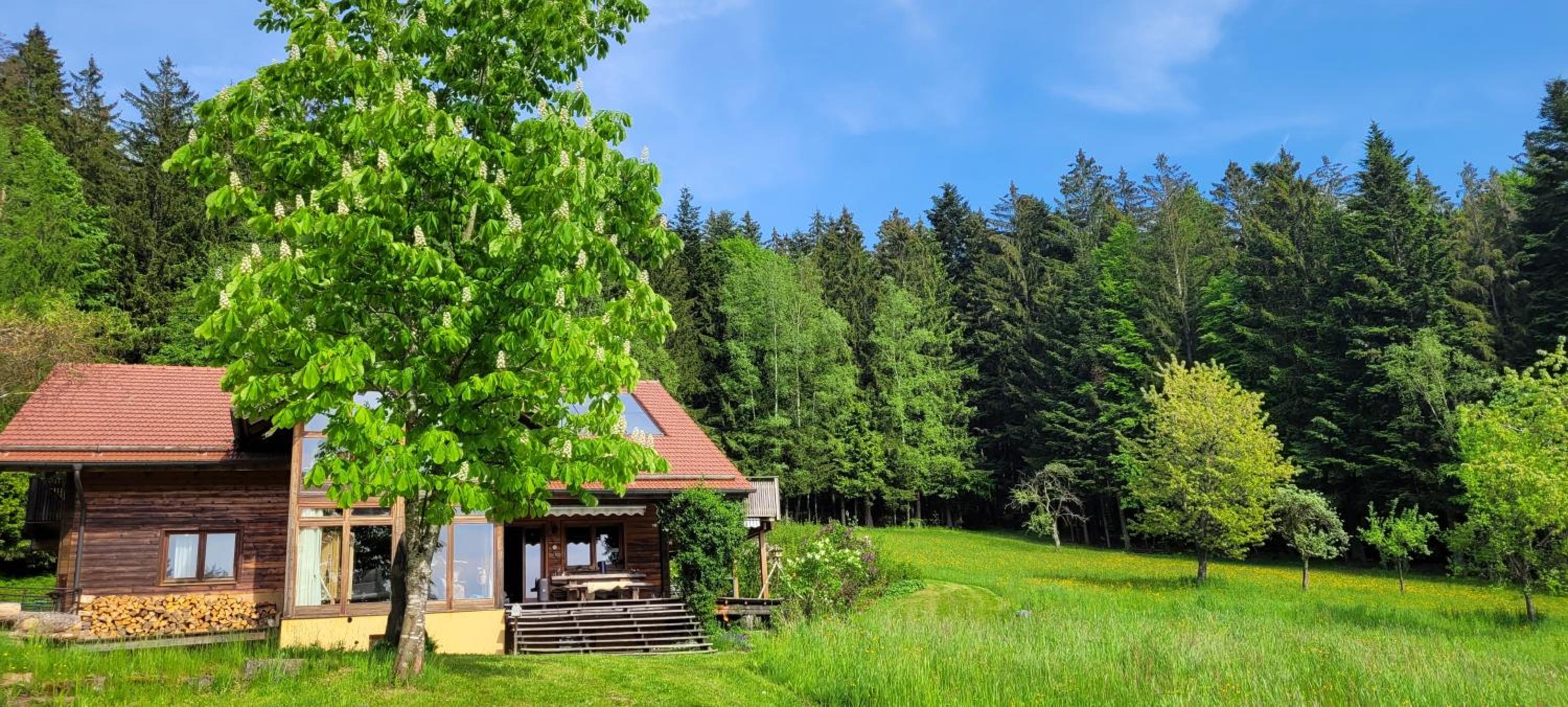 Ferienwohnung Waldidyll