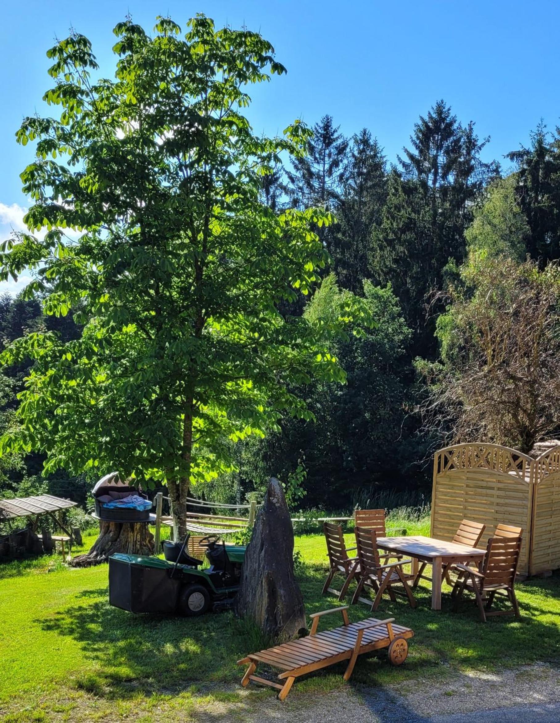 Ferienwohnung Waldidyll