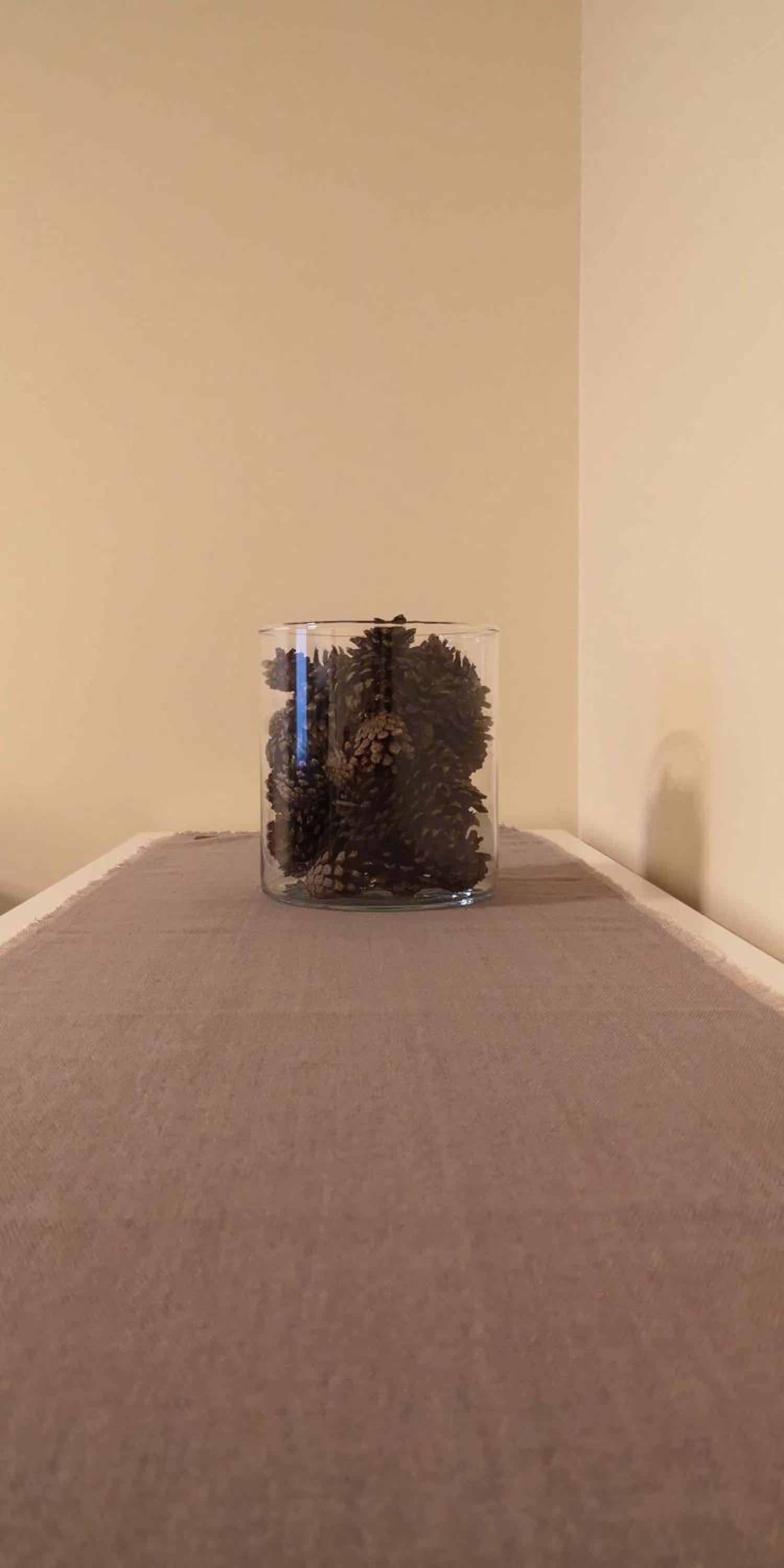 Pine Cone Apartment