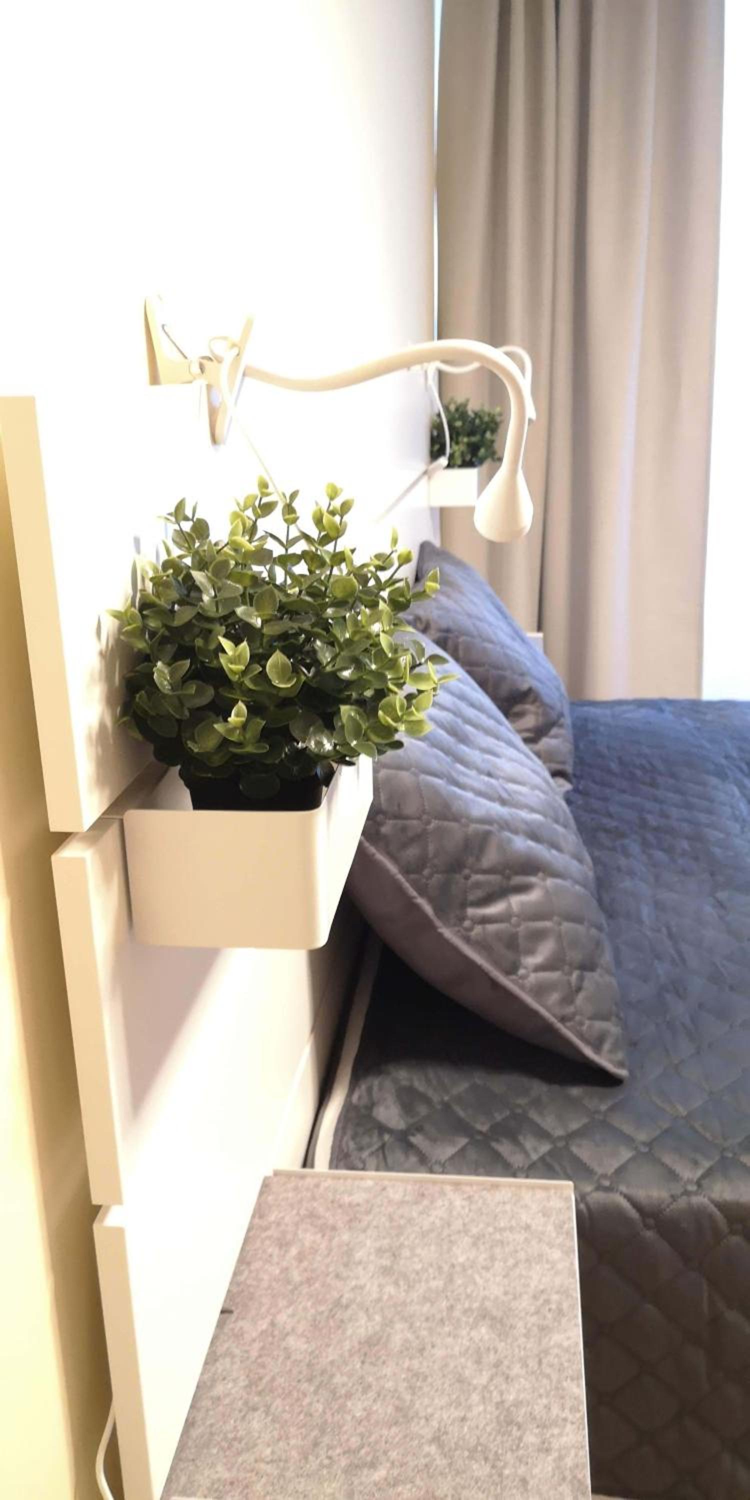 Pine Cone Apartment