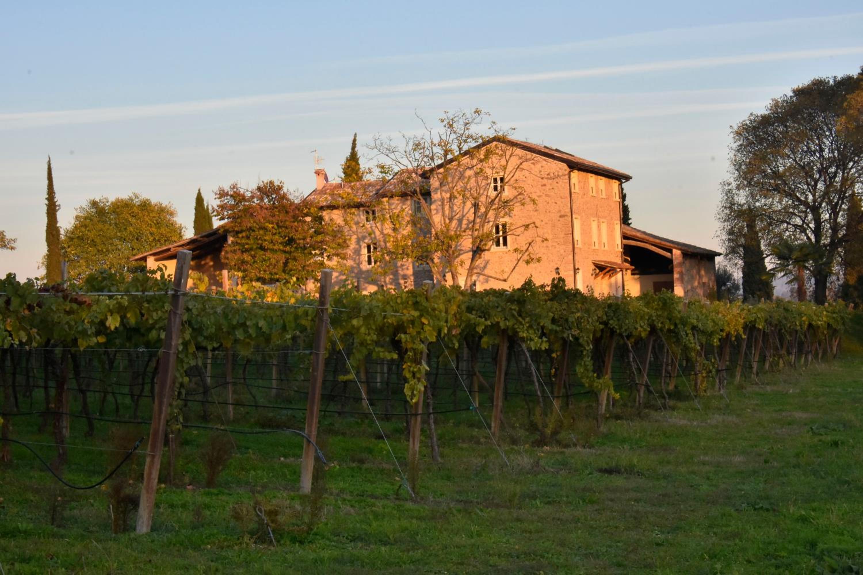 Le Palazzole view 3