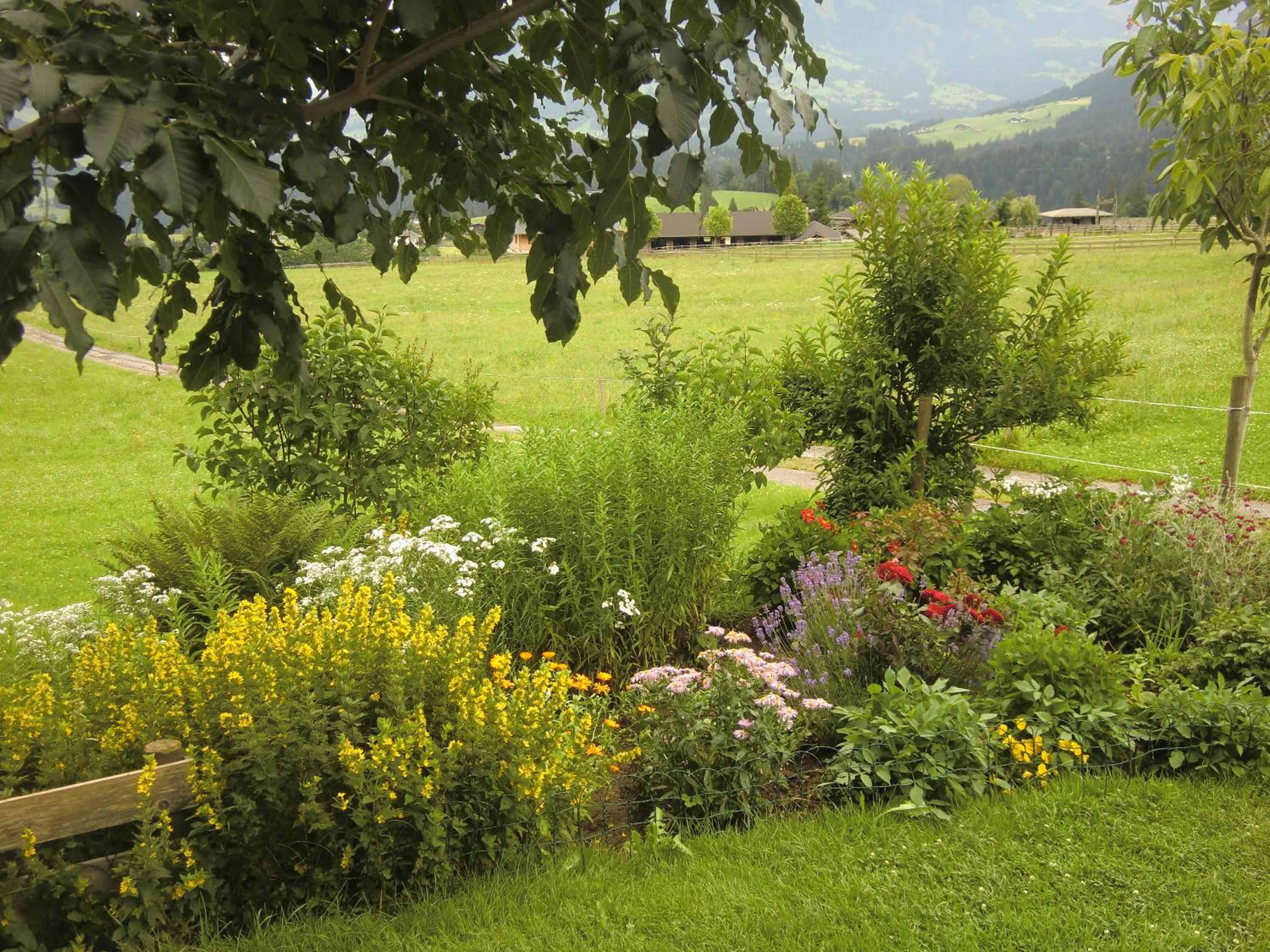Weberhof Hopfgarten