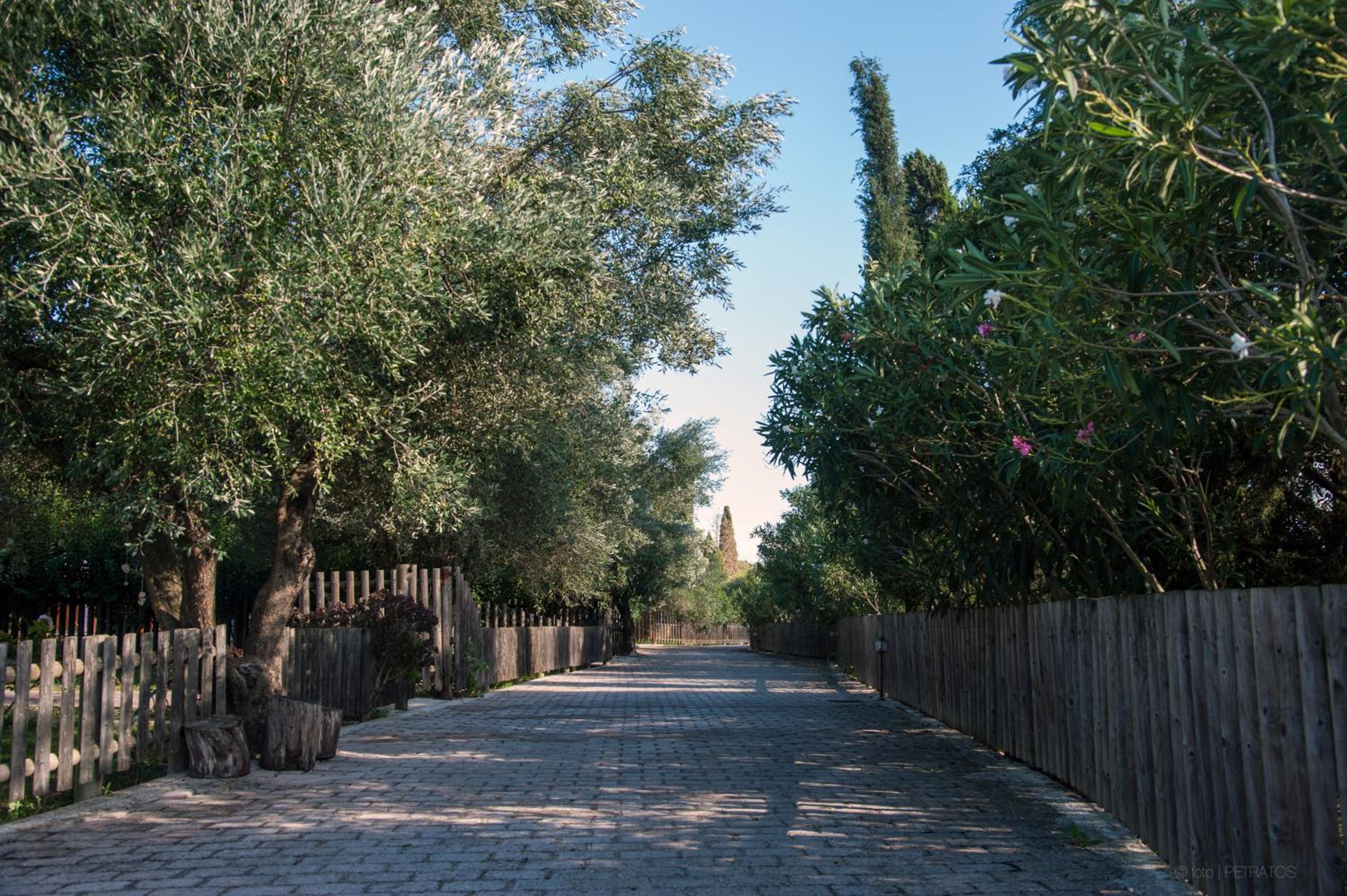 Photo 46