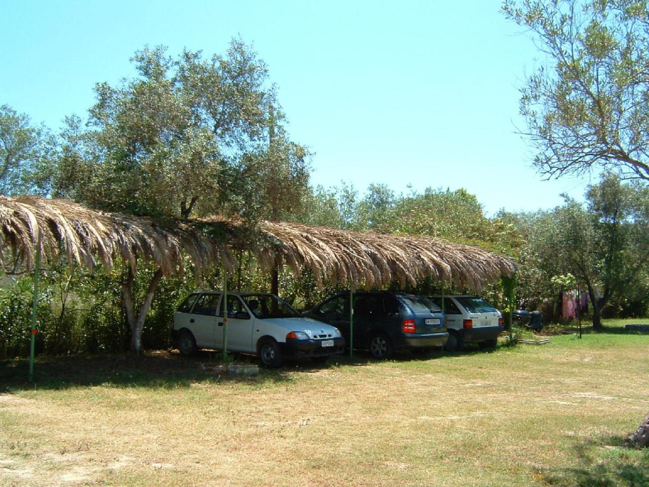 Photo 23