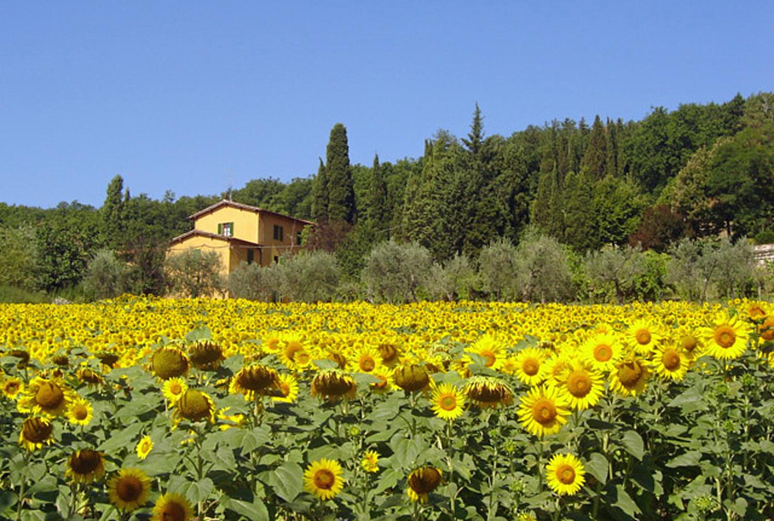 I Casali del Trebbiolo