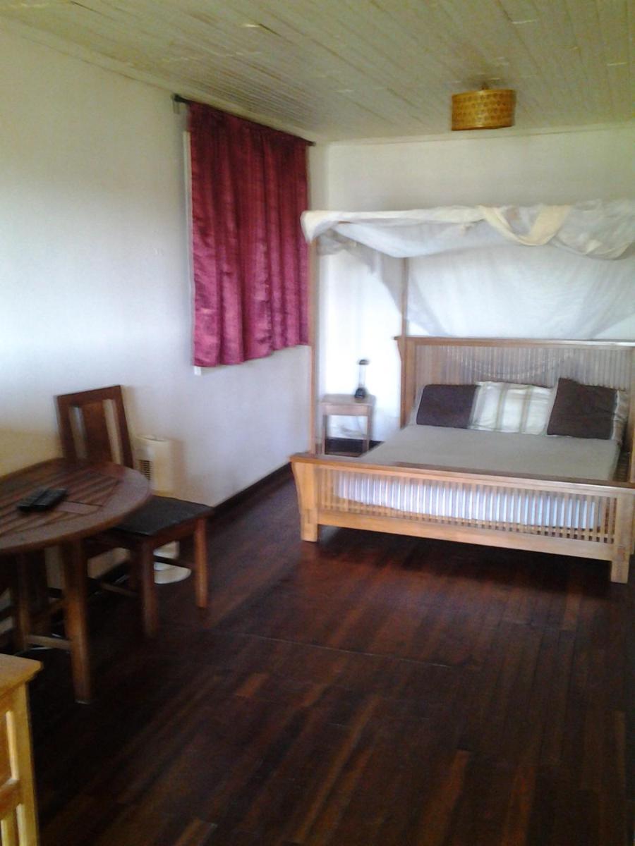 Photo 41