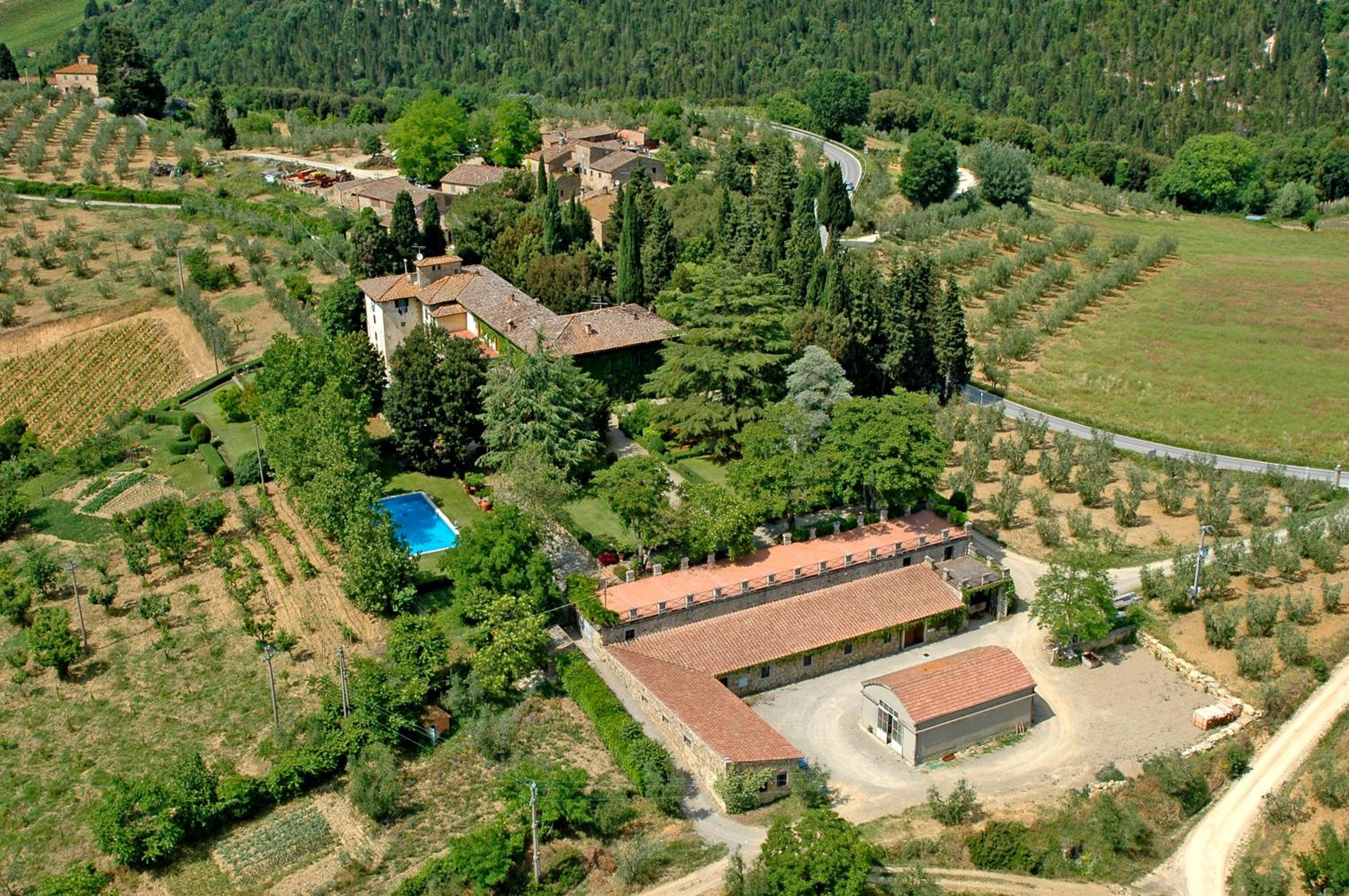 Ormanni nel Chianti Classico