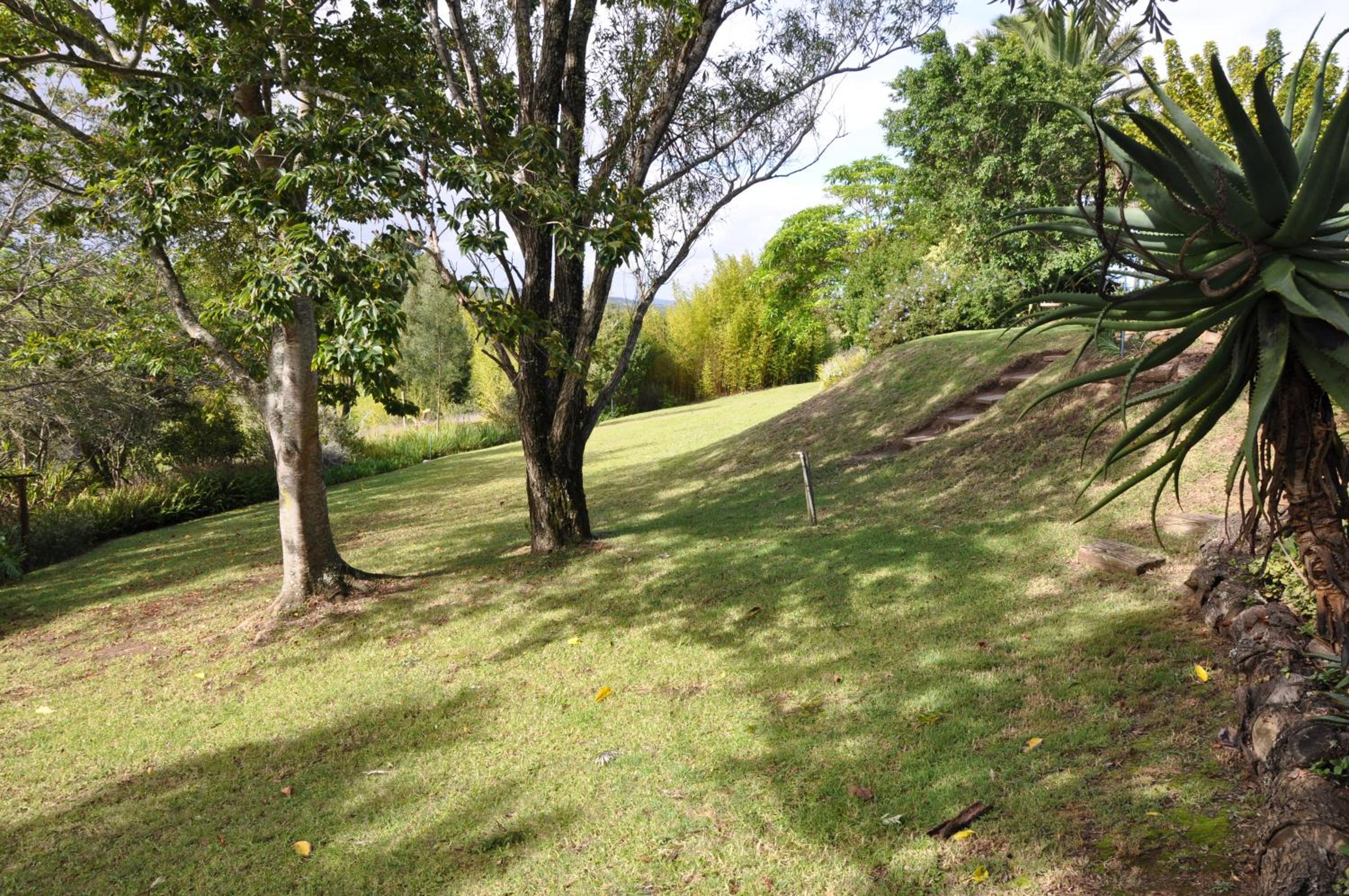 Photo 42