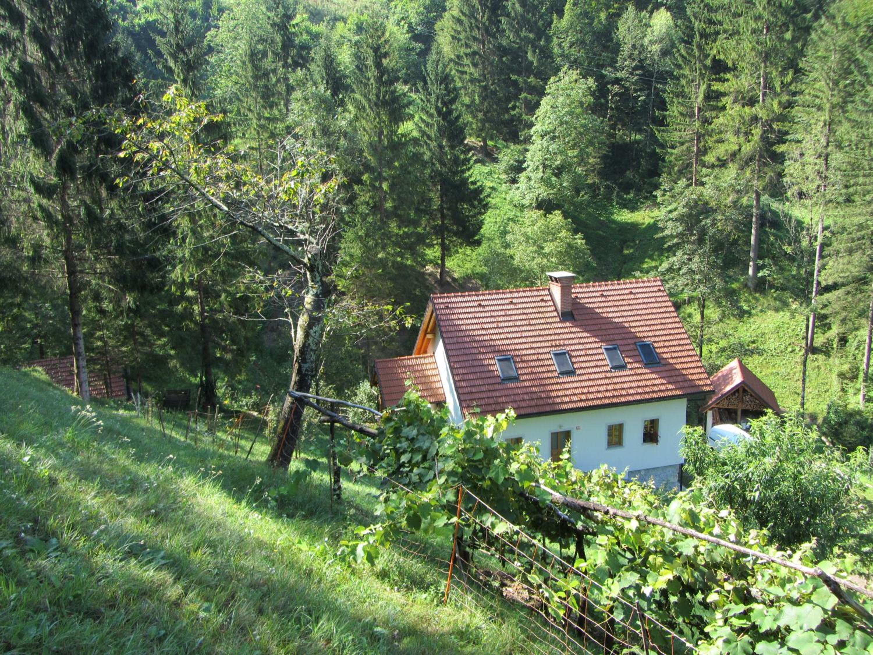 House Dolenja Trebuša view 4
