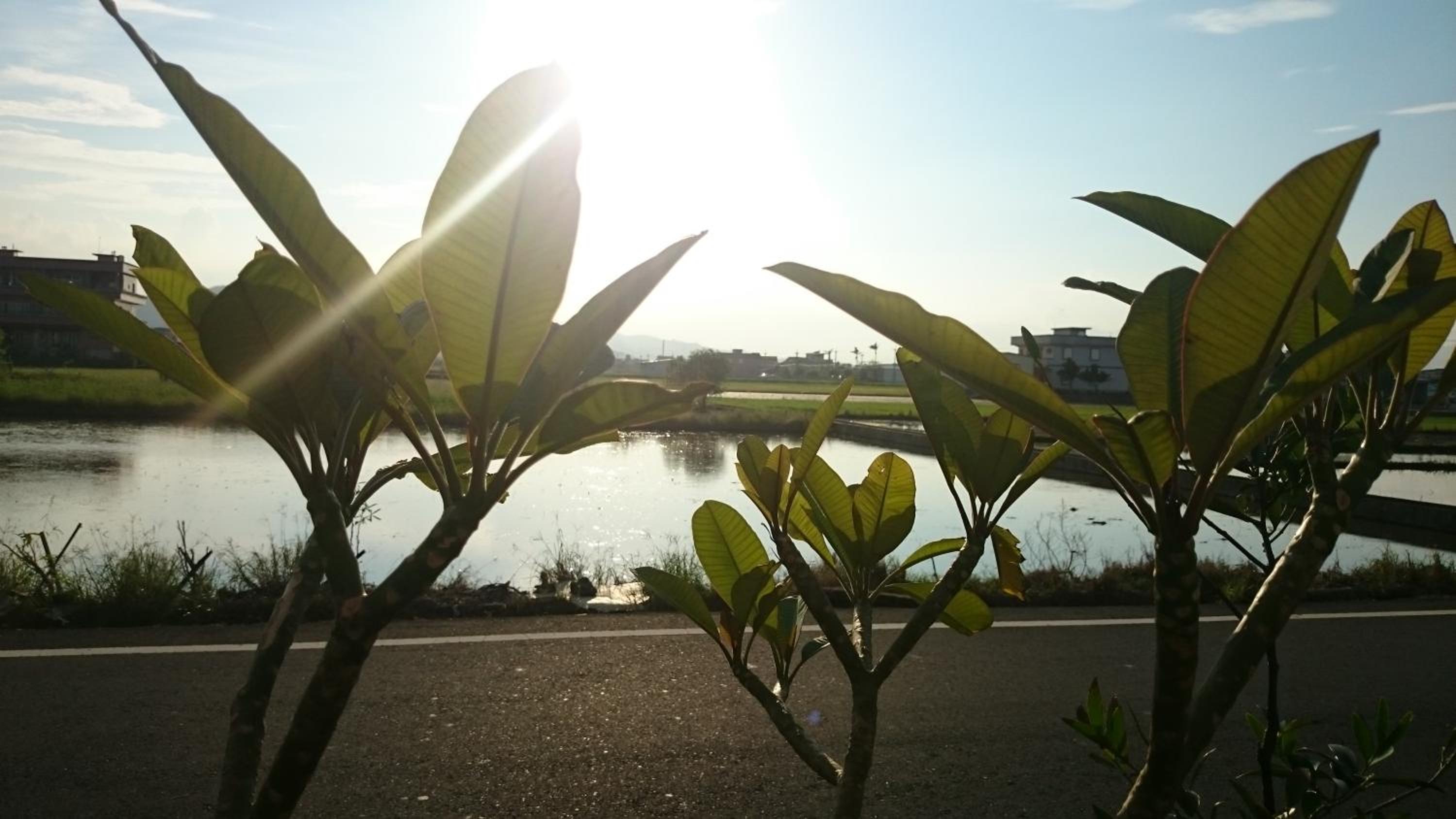Yilan Real Fun Homestay