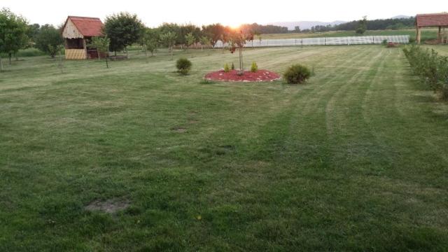 Photo 29