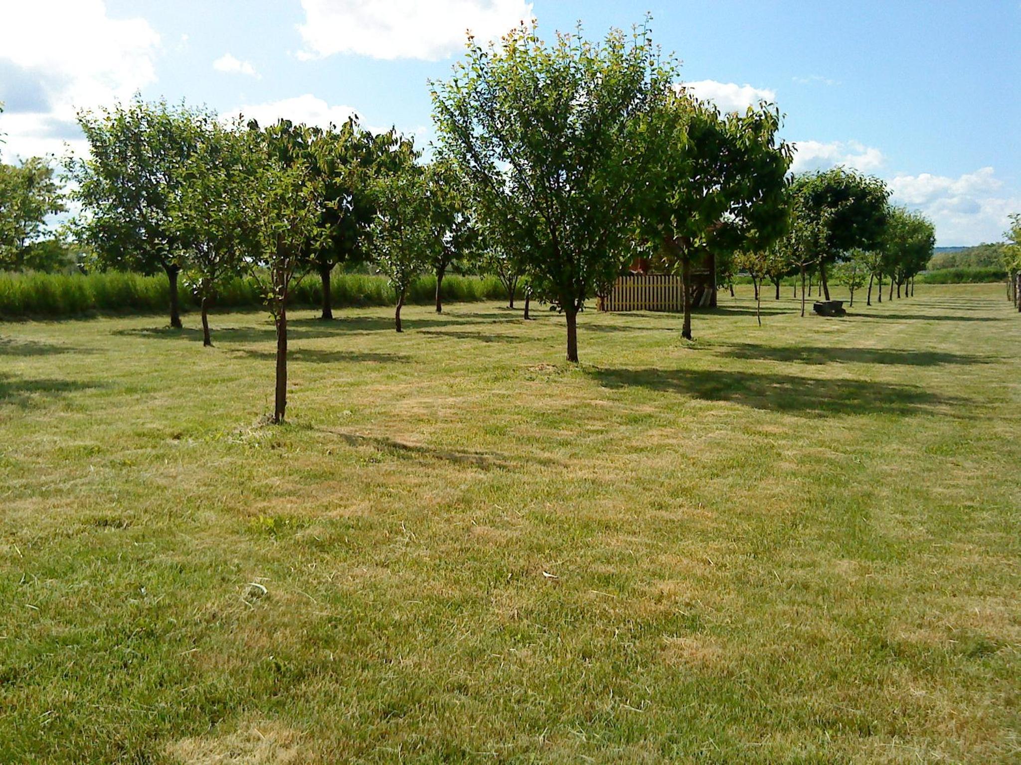 Photo 30