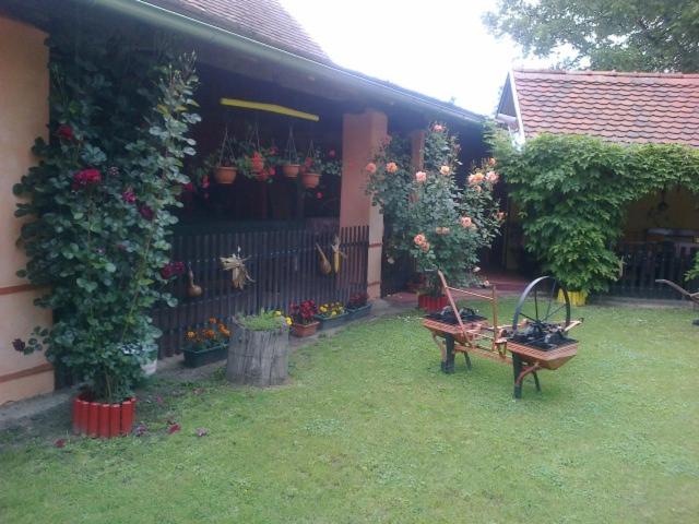 Photo 35