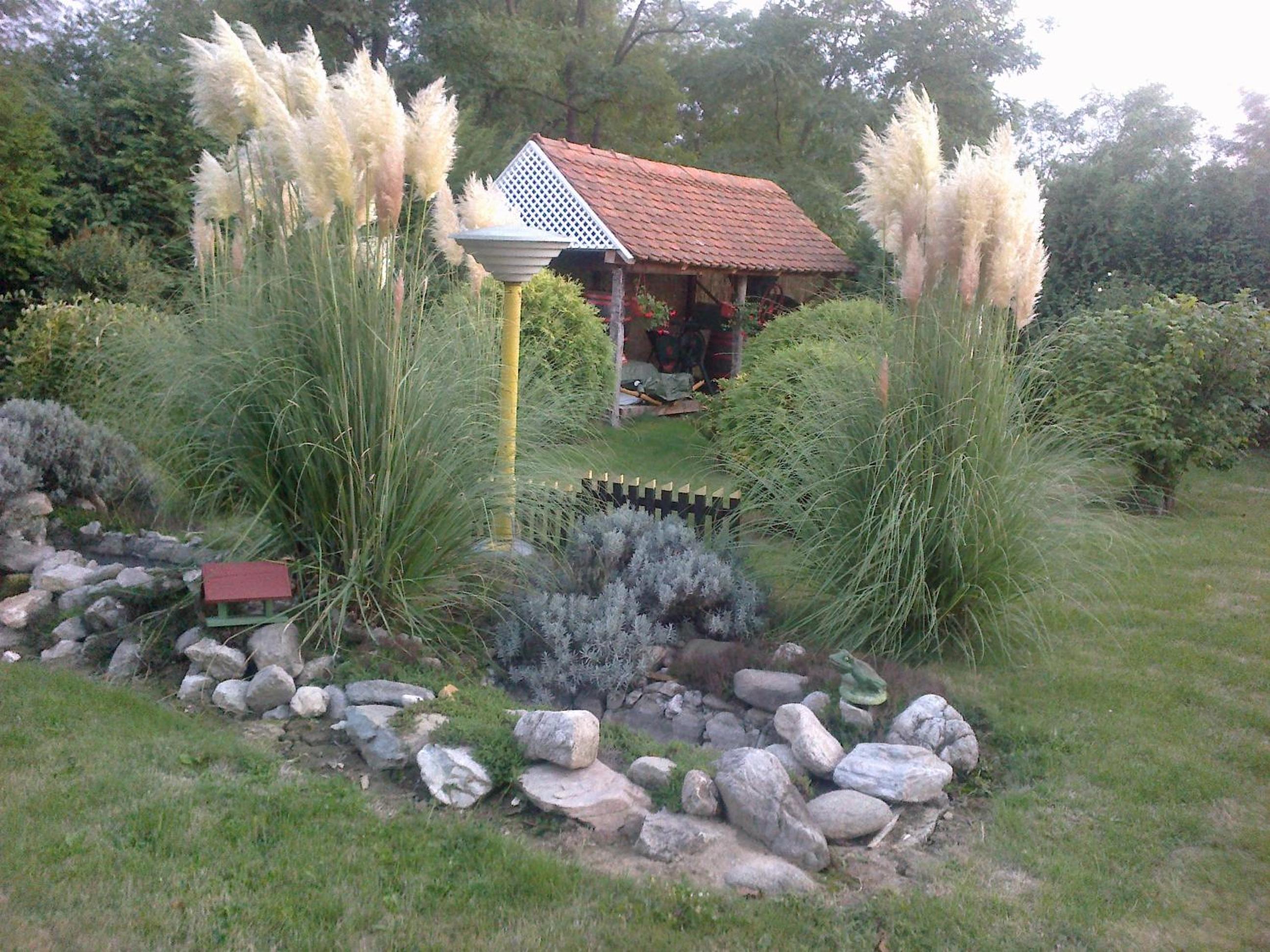 Photo 46