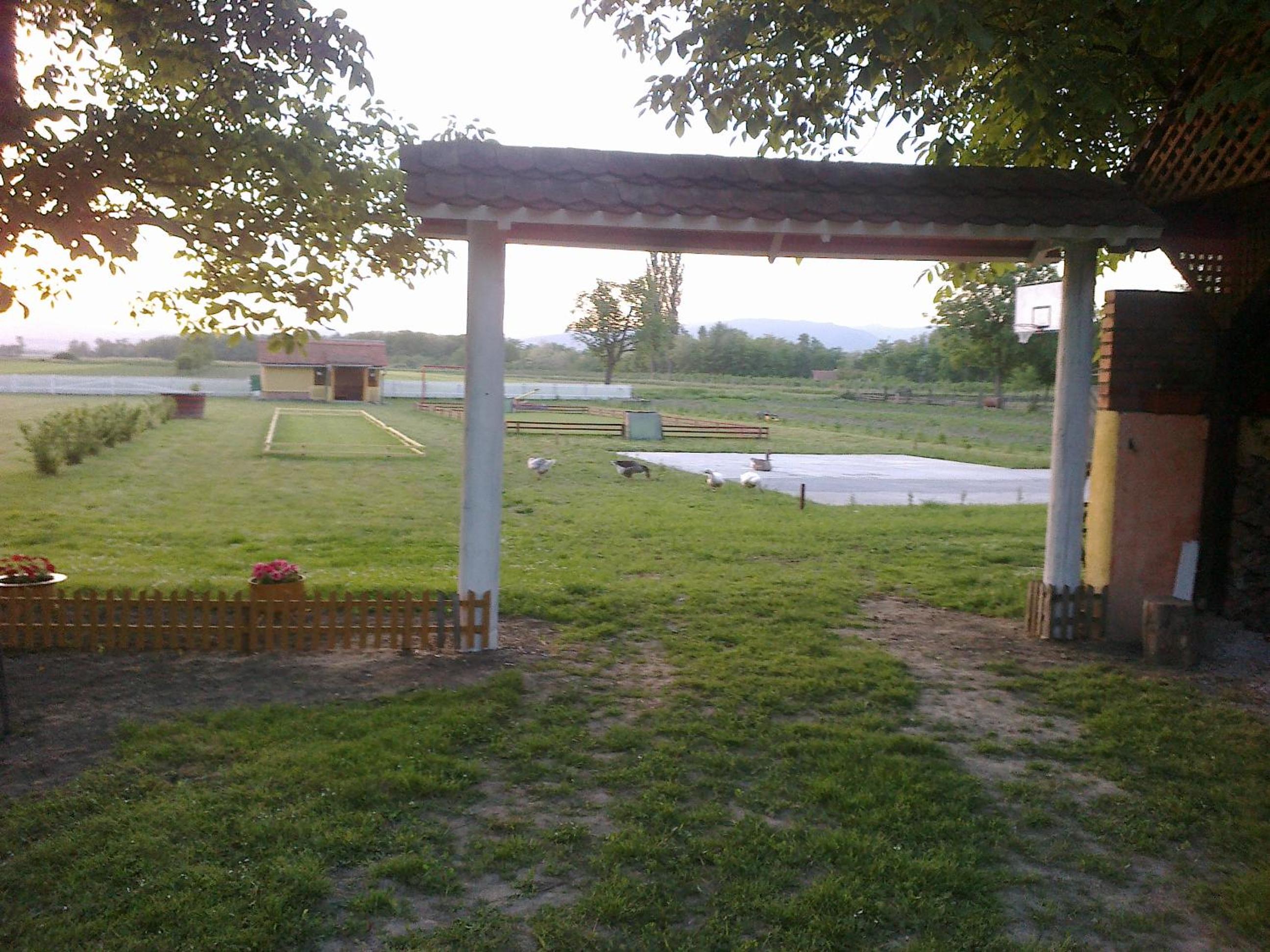 Photo 11