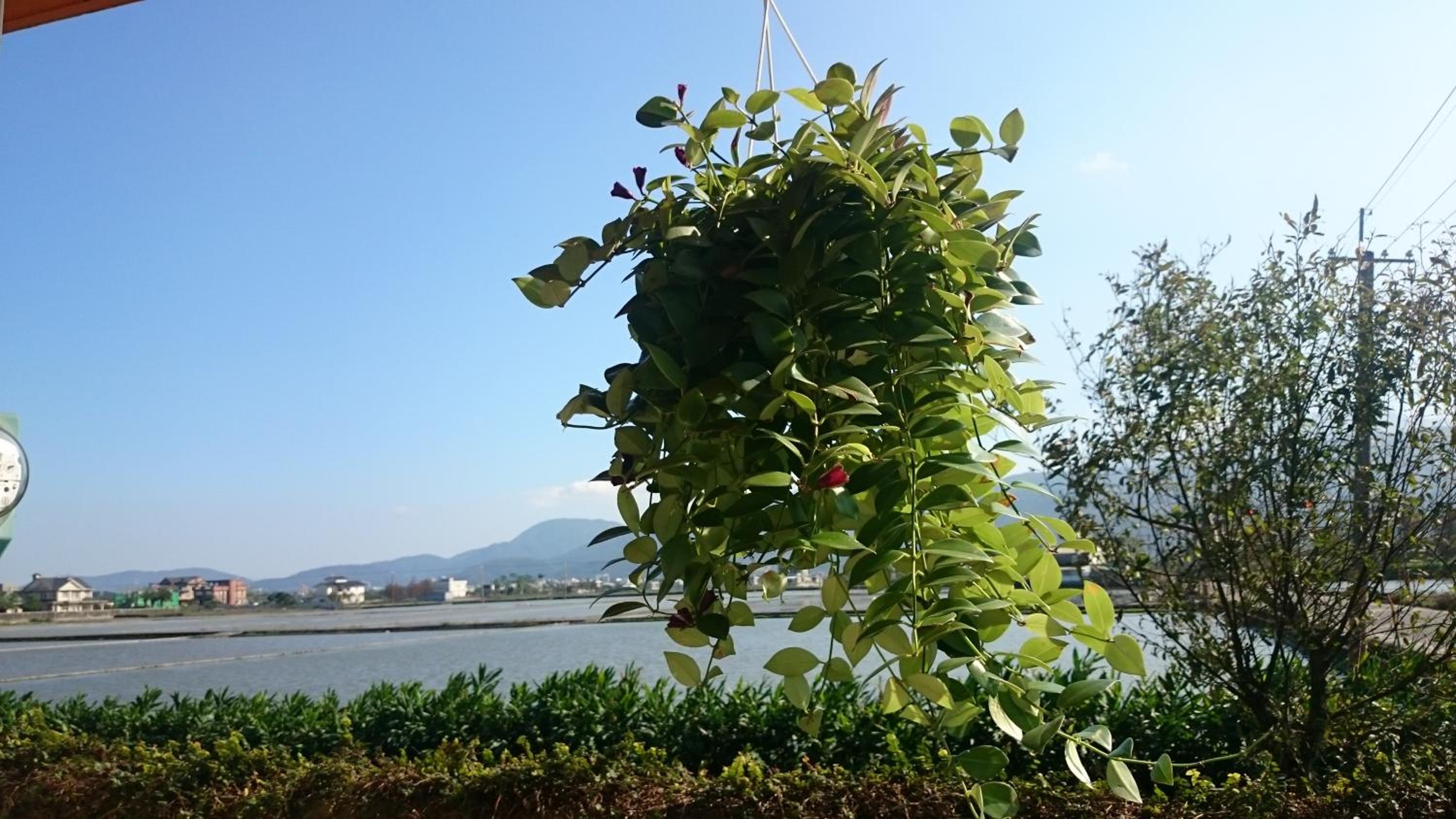 Yilan Real Fun Homestay