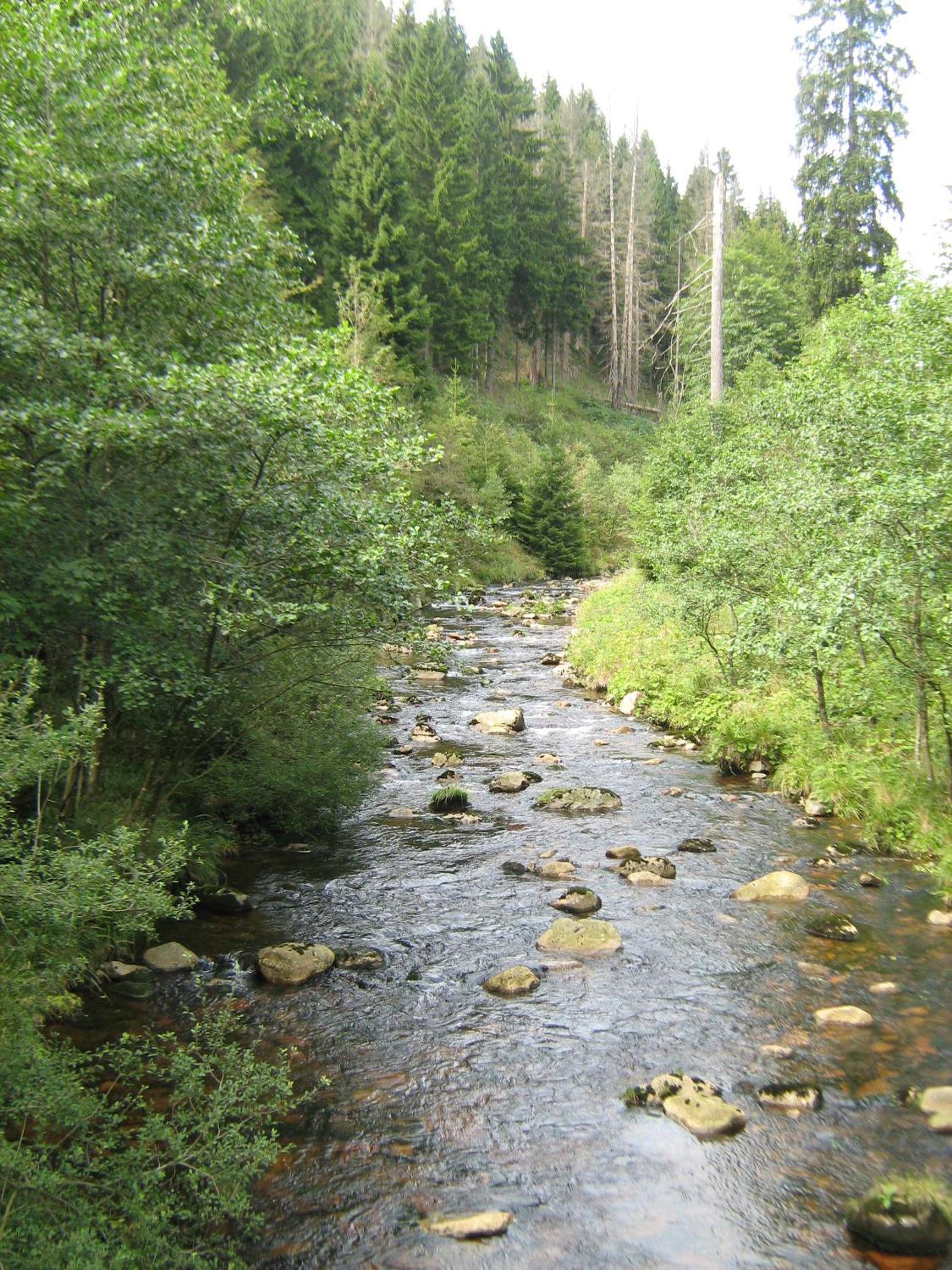 Kleines Berghaus